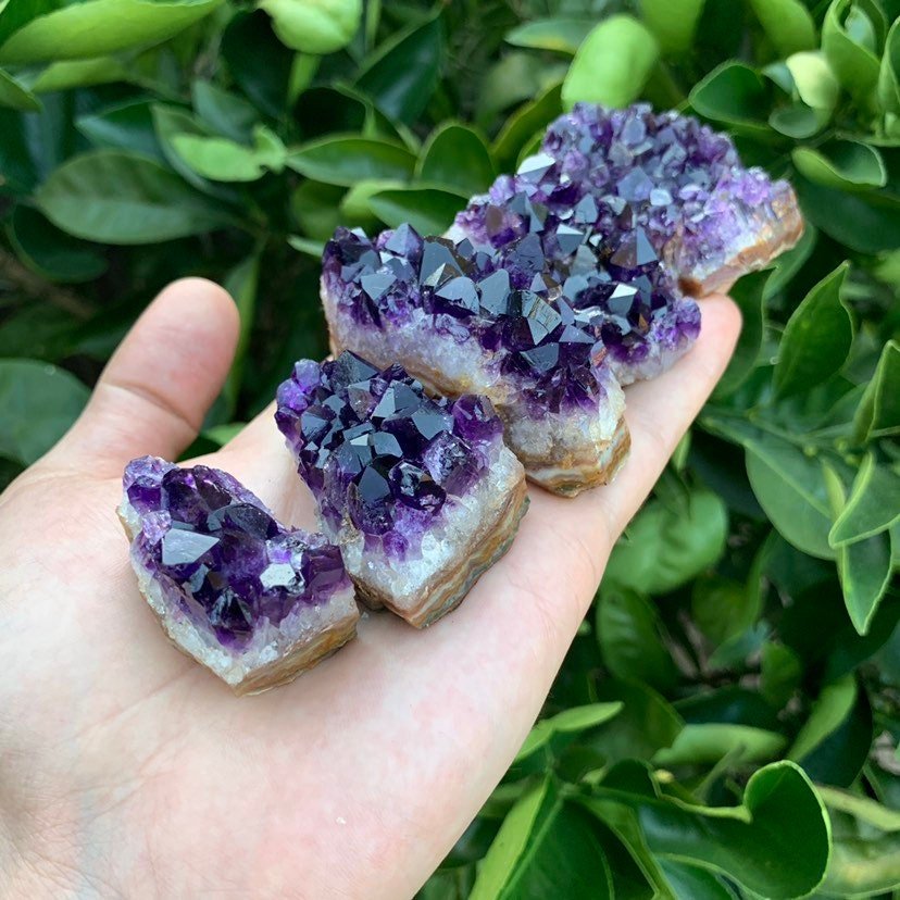 Amethyst Raw Crystal Clusters (1.50-2.50 Inch - AAA Grade - 6-10 Pieces Per Pound) Ethically Sourced from Uruguay - Beyond Bohemian