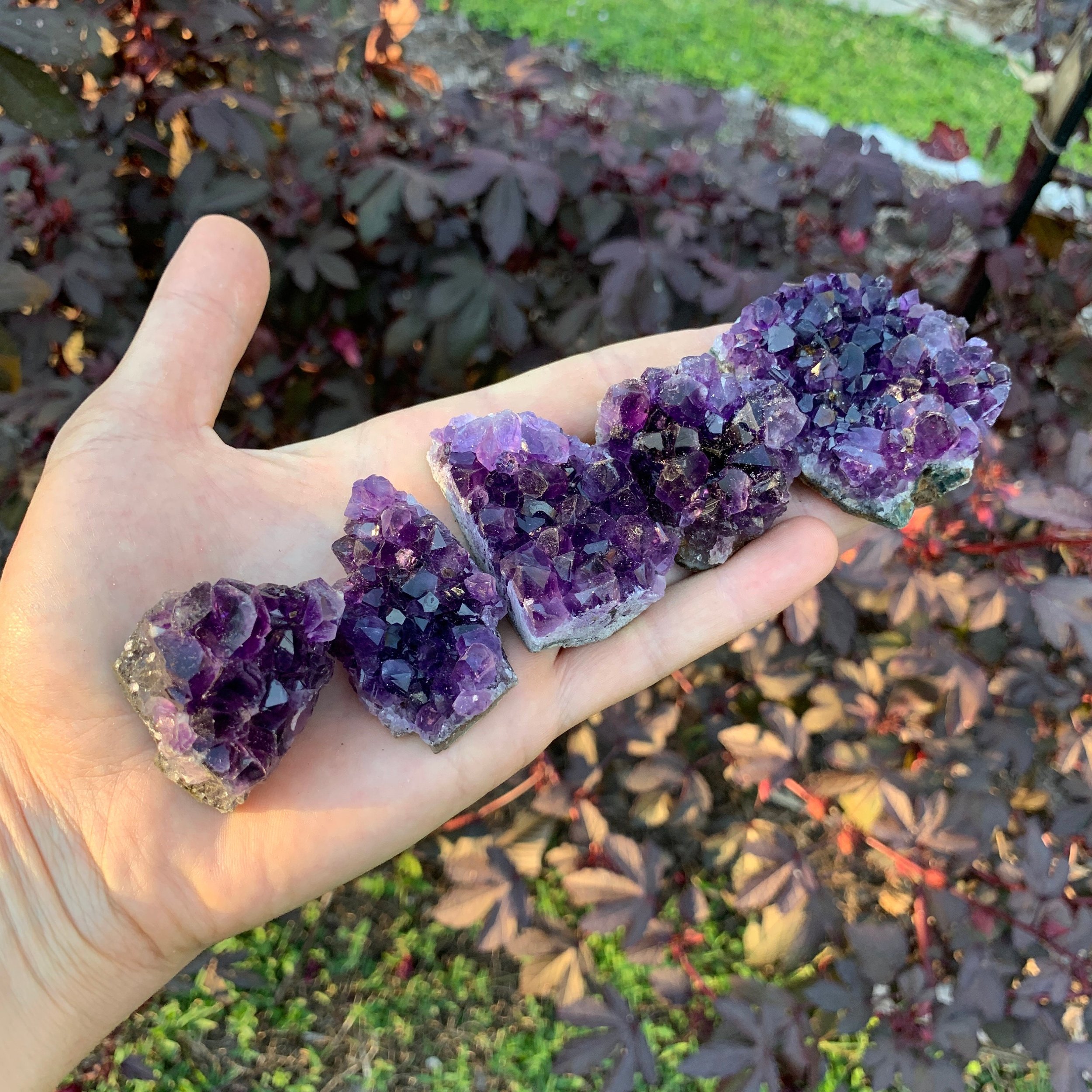 Amethyst Raw Crystal Clusters (1.50-2.50 Inch - AAA Grade - 6-10 Pieces Per Pound) Ethically Sourced from Uruguay - Beyond Bohemian