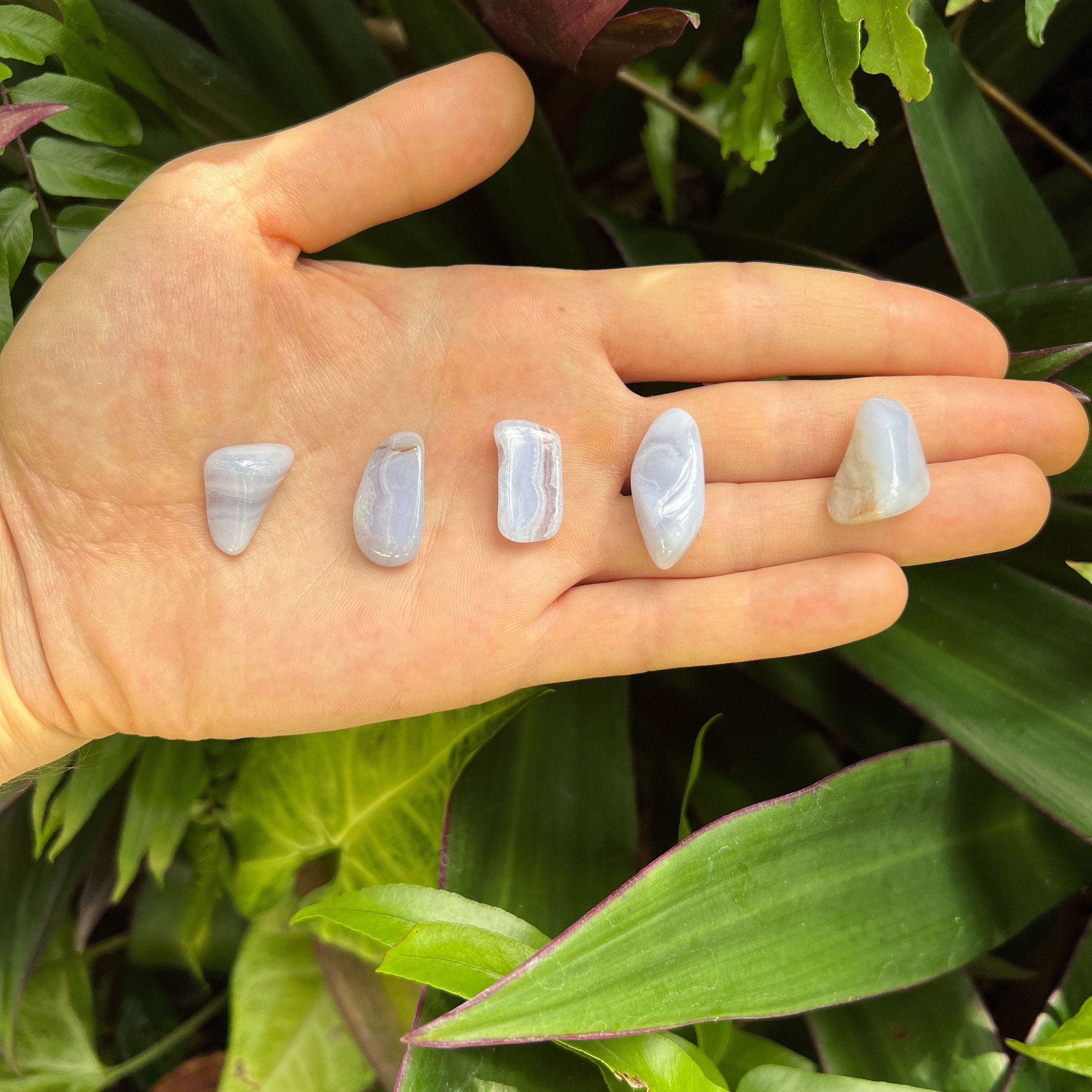 Blue Lace Agate Tumbled Stones (0.50-1.50 Inch - AA Grade - 64-128 Pieces Per Pound) Ethically Sourced from Namibia - Beyond Bohemian