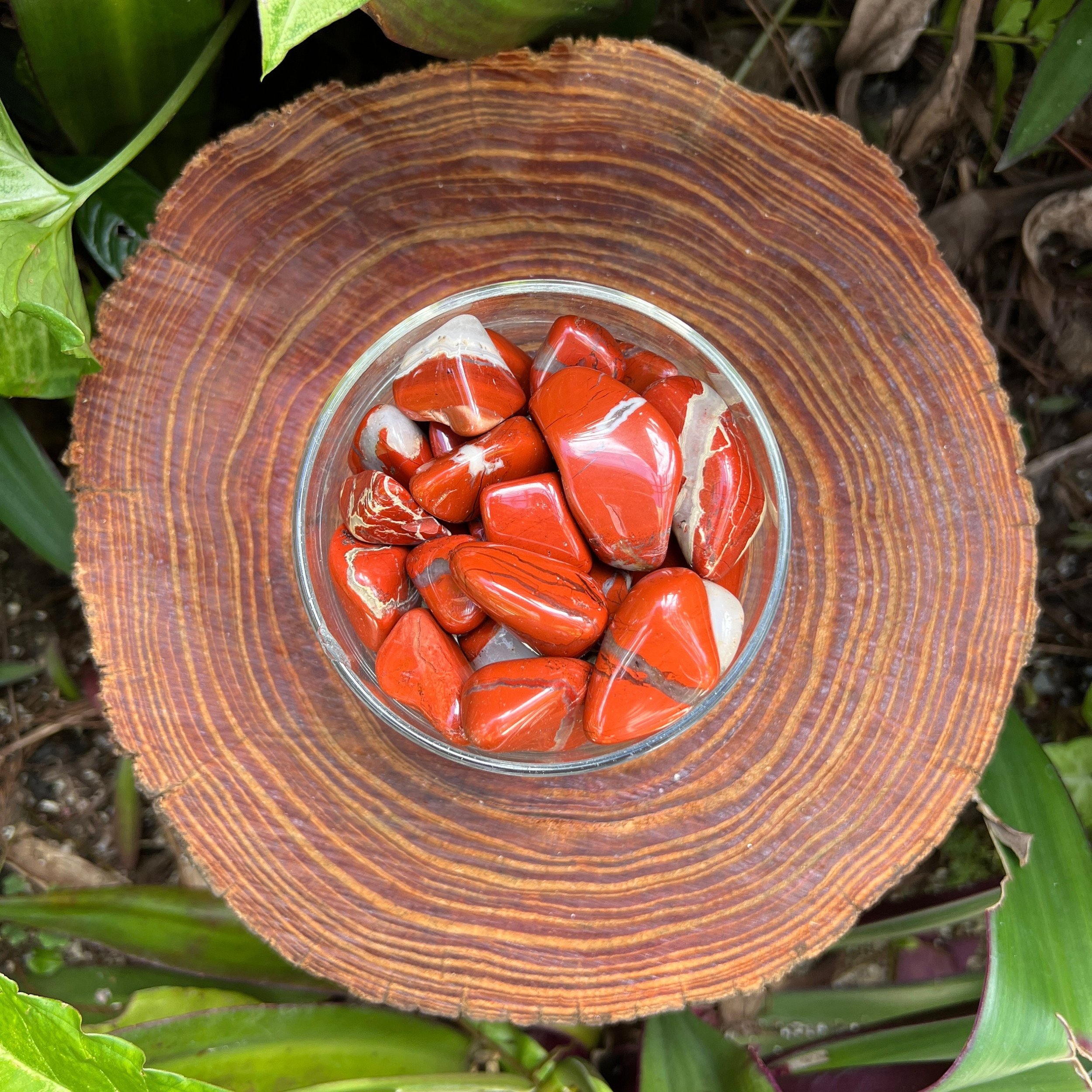 Red Jasper Tumbled Stones (1-1.50 Inch - AA Grade - 32-48 Pieces Per Pound) Ethically Sourced from South Africa - Beyond Bohemian