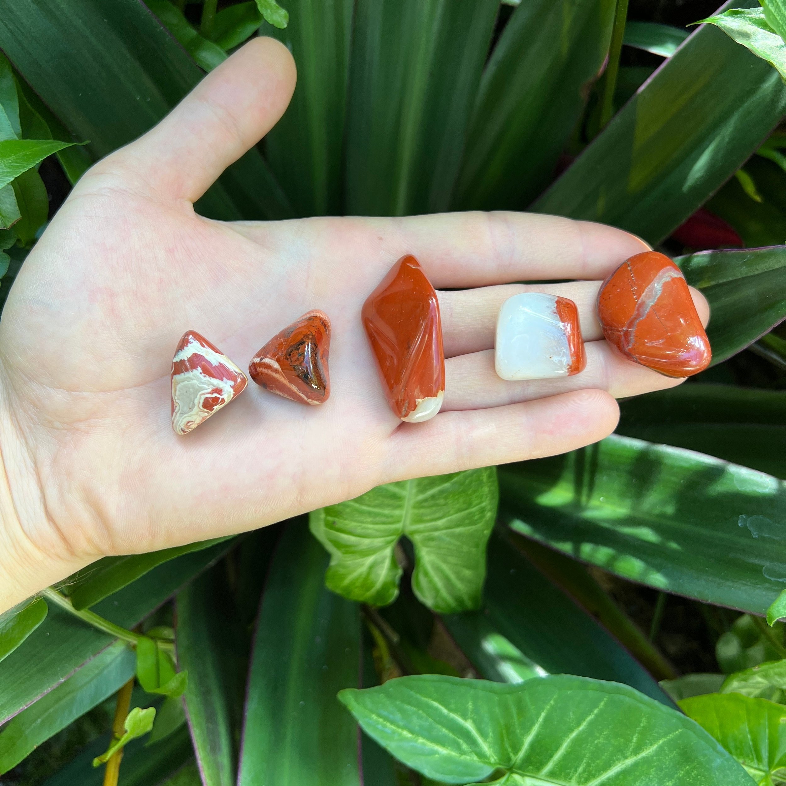 Red Jasper Tumbled Stones (1-1.50 Inch - AA Grade - 32-48 Pieces Per Pound) Ethically Sourced from South Africa - Beyond Bohemian