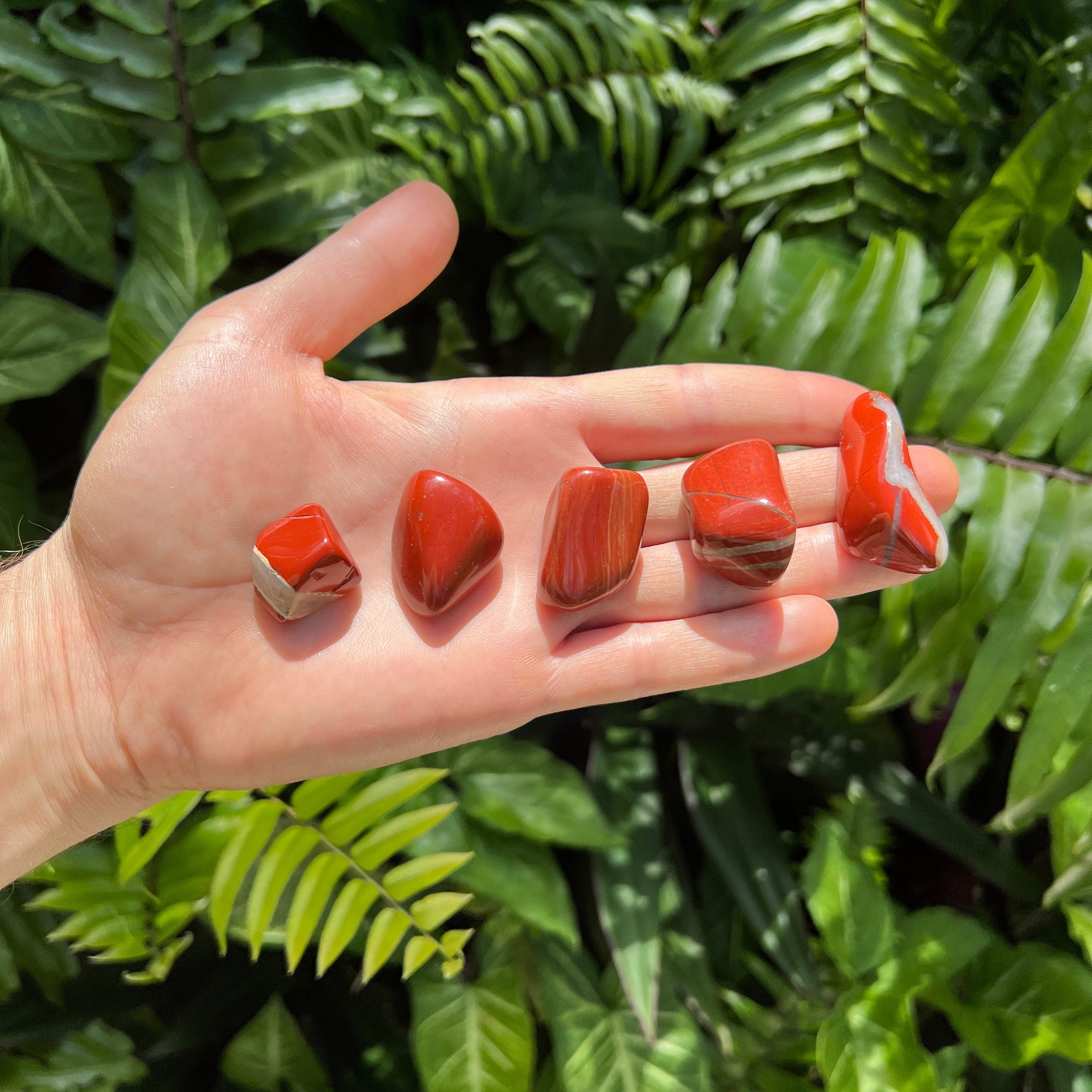 Red Jasper Tumbled Stones (1-1.50 Inch - AA Grade - 32-48 Pieces Per Pound) Ethically Sourced from South Africa - Beyond Bohemian