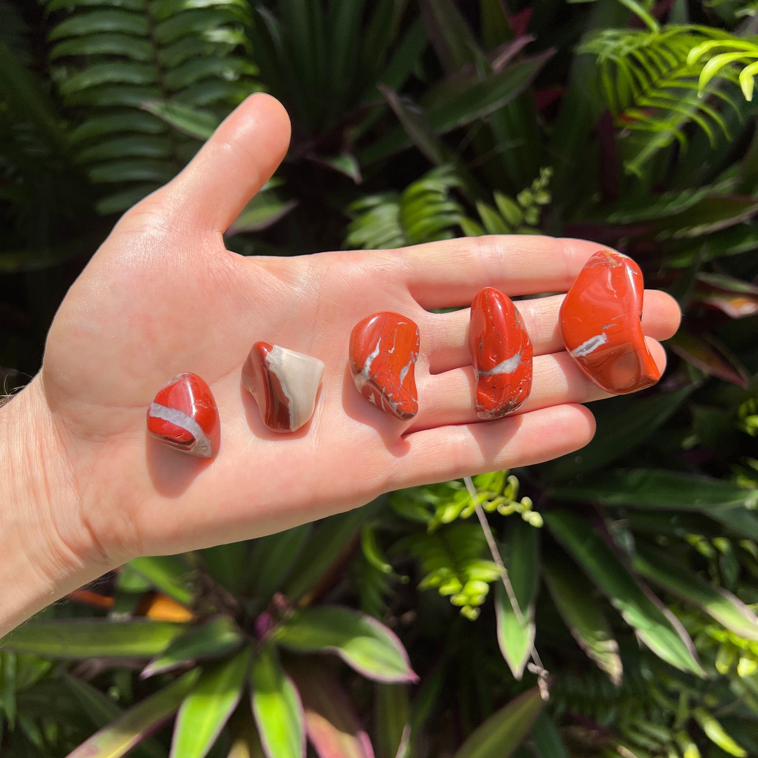 Red Jasper Tumbled Stones (1-1.50 Inch - AA Grade - 32-48 Pieces Per Pound) Ethically Sourced from South Africa - Beyond Bohemian