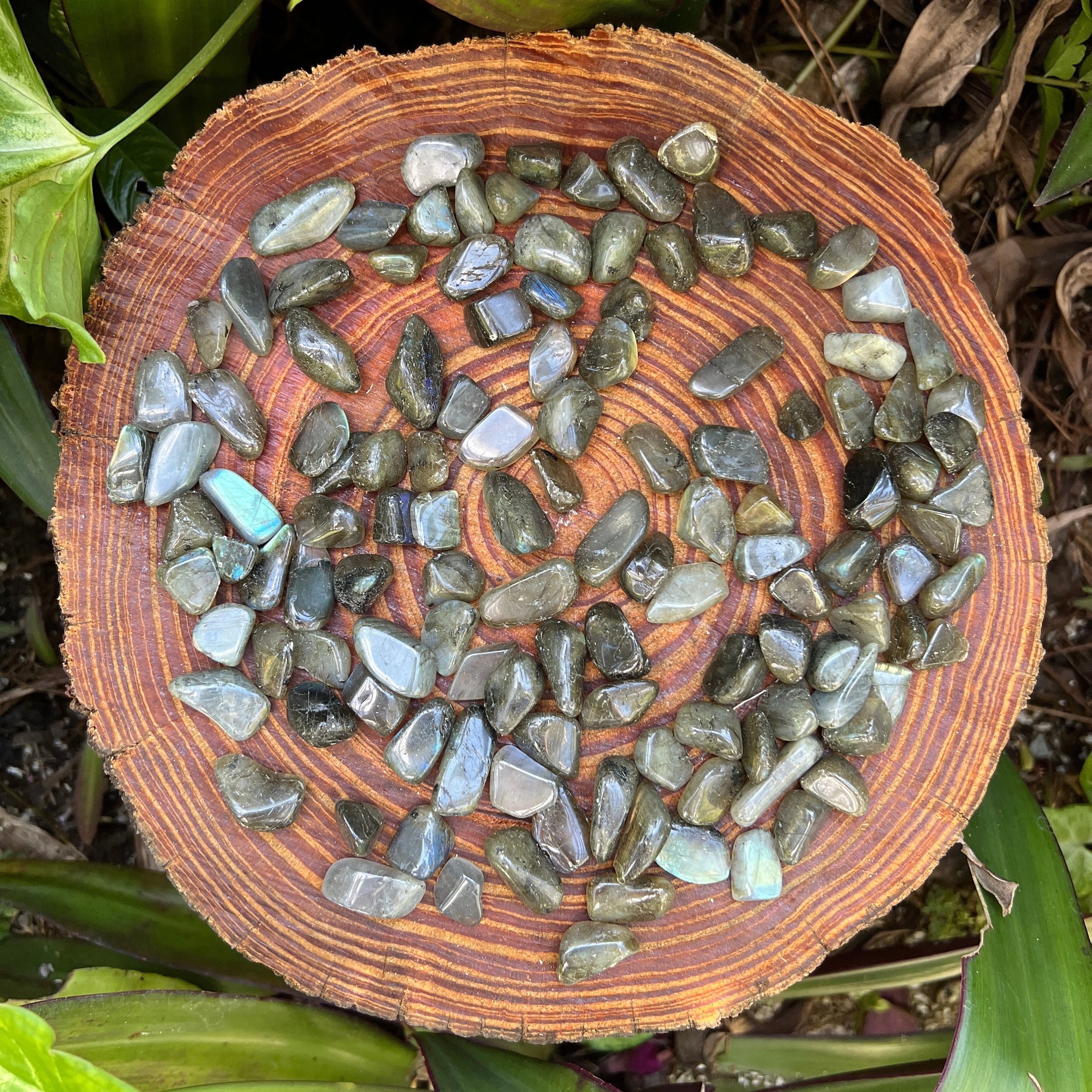 Labradorite Tumbled Stones (0.50-1 Inch - AA Grade - 64-128 Pieces Per Pound) Ethically Sourced from Madagascar - Beyond Bohemian