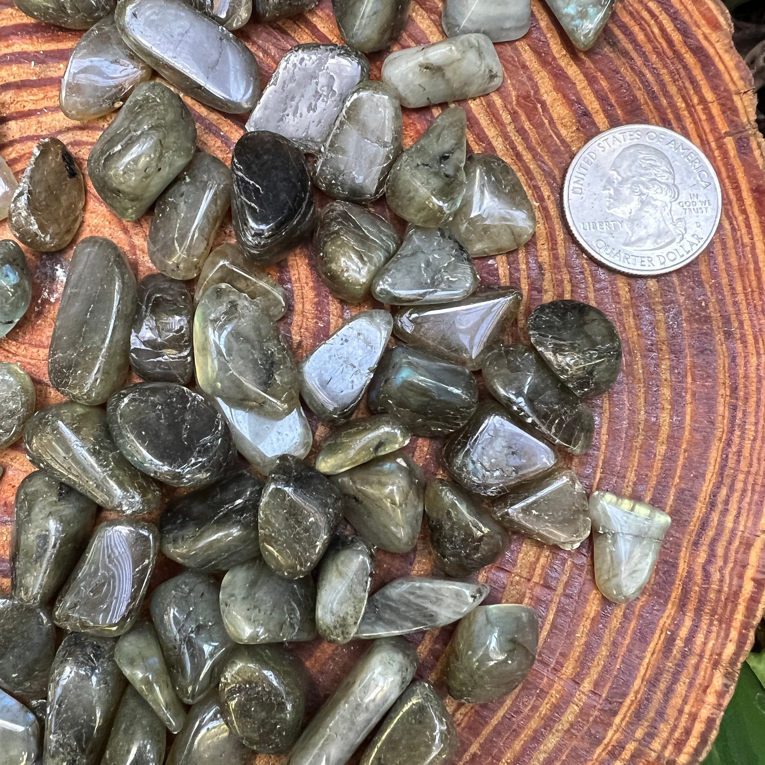 Labradorite Tumbled Stones (0.50-1 Inch - AA Grade - 64-128 Pieces Per Pound) Ethically Sourced from Madagascar - Beyond Bohemian