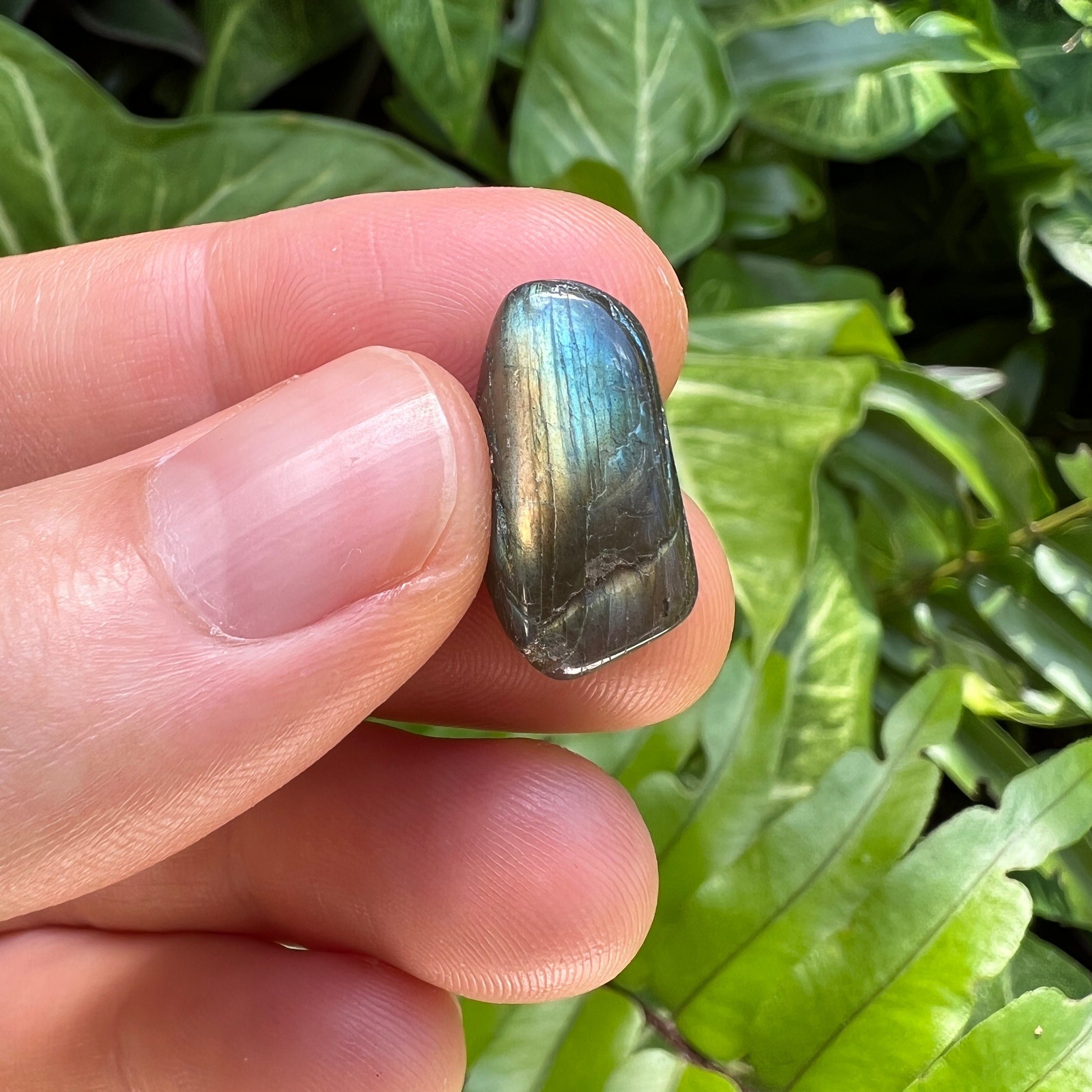 Labradorite Tumbled Stones (0.50-1 Inch - AA Grade - 64-128 Pieces Per Pound) Ethically Sourced from Madagascar - Beyond Bohemian