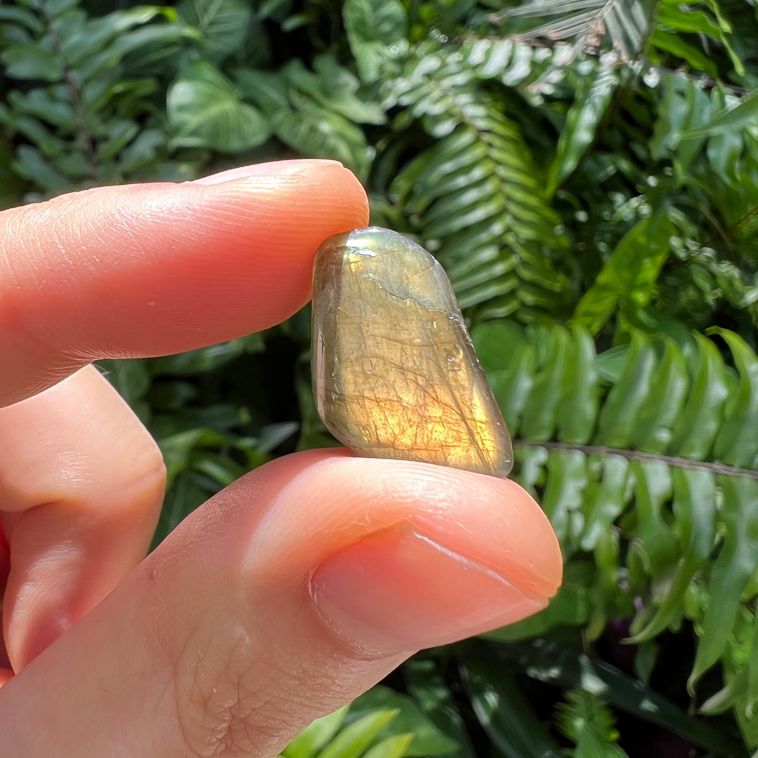 Labradorite Tumbled Stones (0.50-1 Inch - AA Grade - 64-128 Pieces Per Pound) Ethically Sourced from Madagascar - Beyond Bohemian