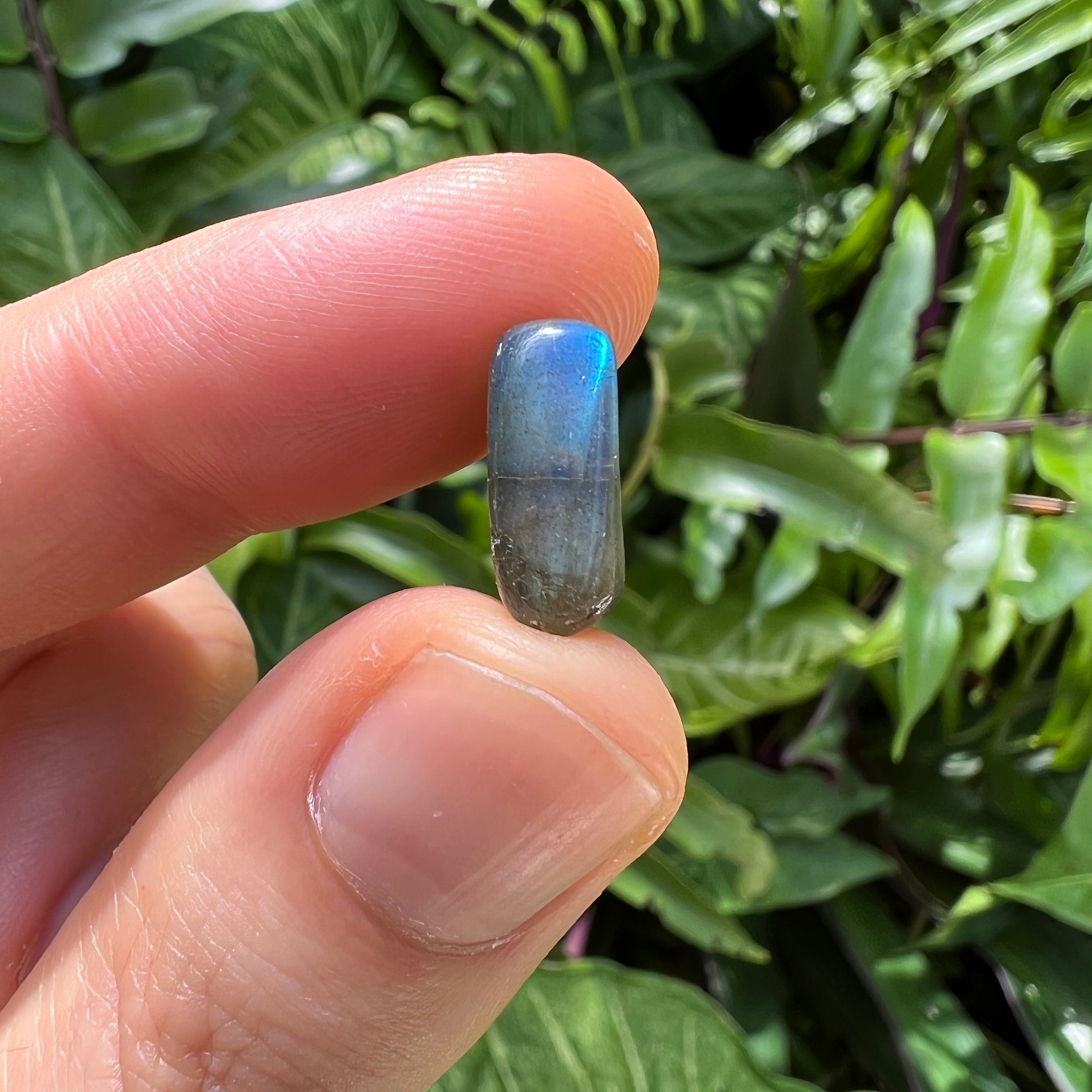 Labradorite Tumbled Stones (0.50-1 Inch - AA Grade - 64-128 Pieces Per Pound) Ethically Sourced from Madagascar - Beyond Bohemian
