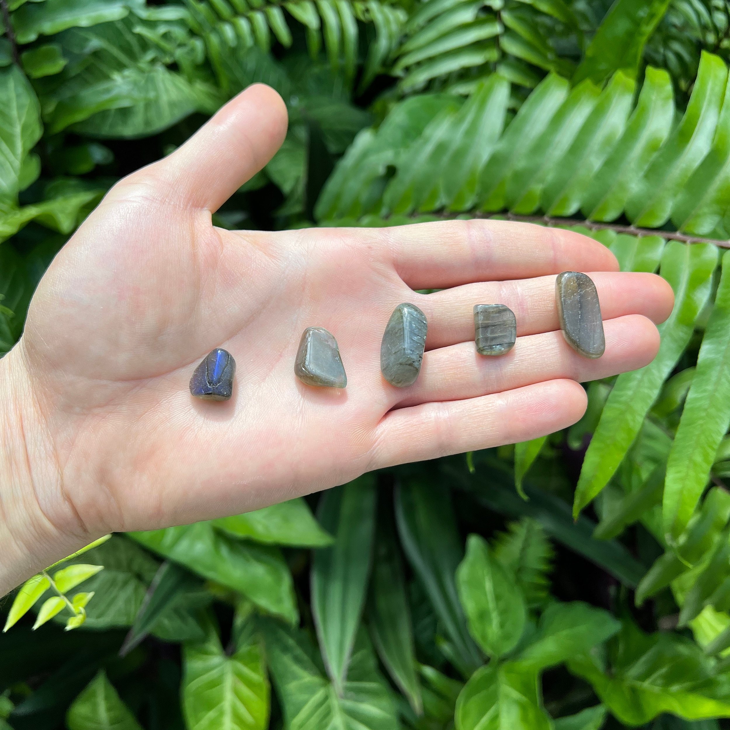 Labradorite Tumbled Stones (0.50-1 Inch - AA Grade - 64-128 Pieces Per Pound) Ethically Sourced from Madagascar - Beyond Bohemian