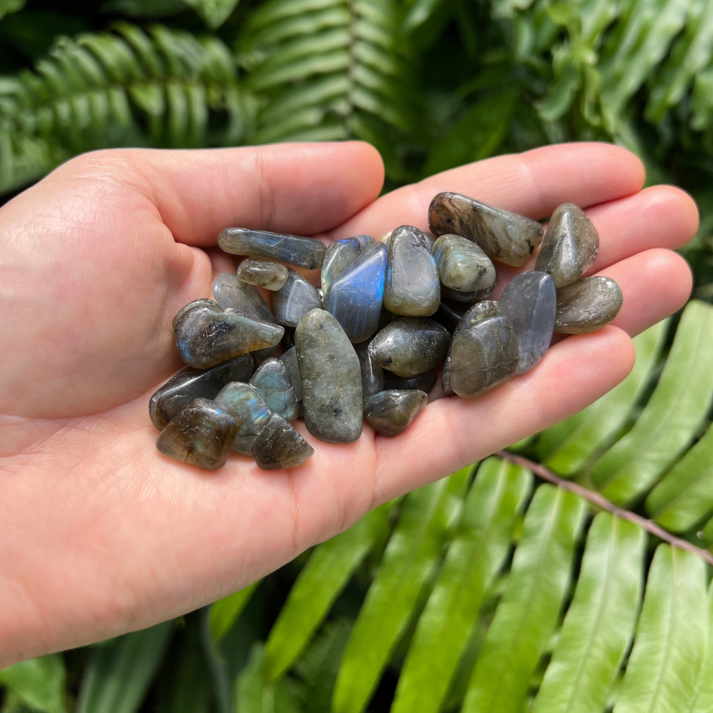 Labradorite Tumbled Stones (0.50-1 Inch - AA Grade - 64-128 Pieces Per Pound) Ethically Sourced from Madagascar - Beyond Bohemian