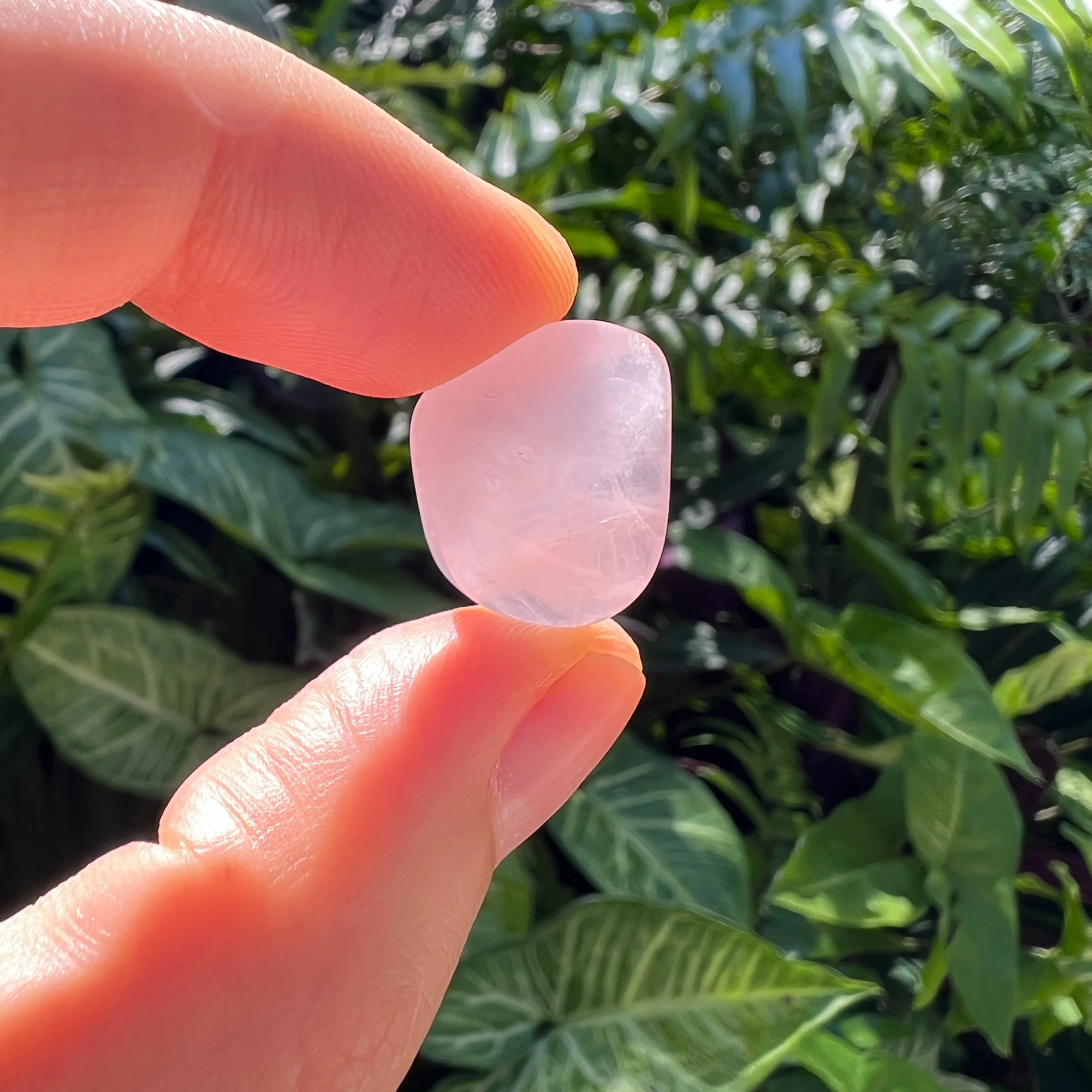 Rose Quartz Tumbled Stones (0.50-1.25 Inch - AA Grade - 64-96 Pieces Per Pound) Ethically Sourced from Madagascar - Beyond Bohemian