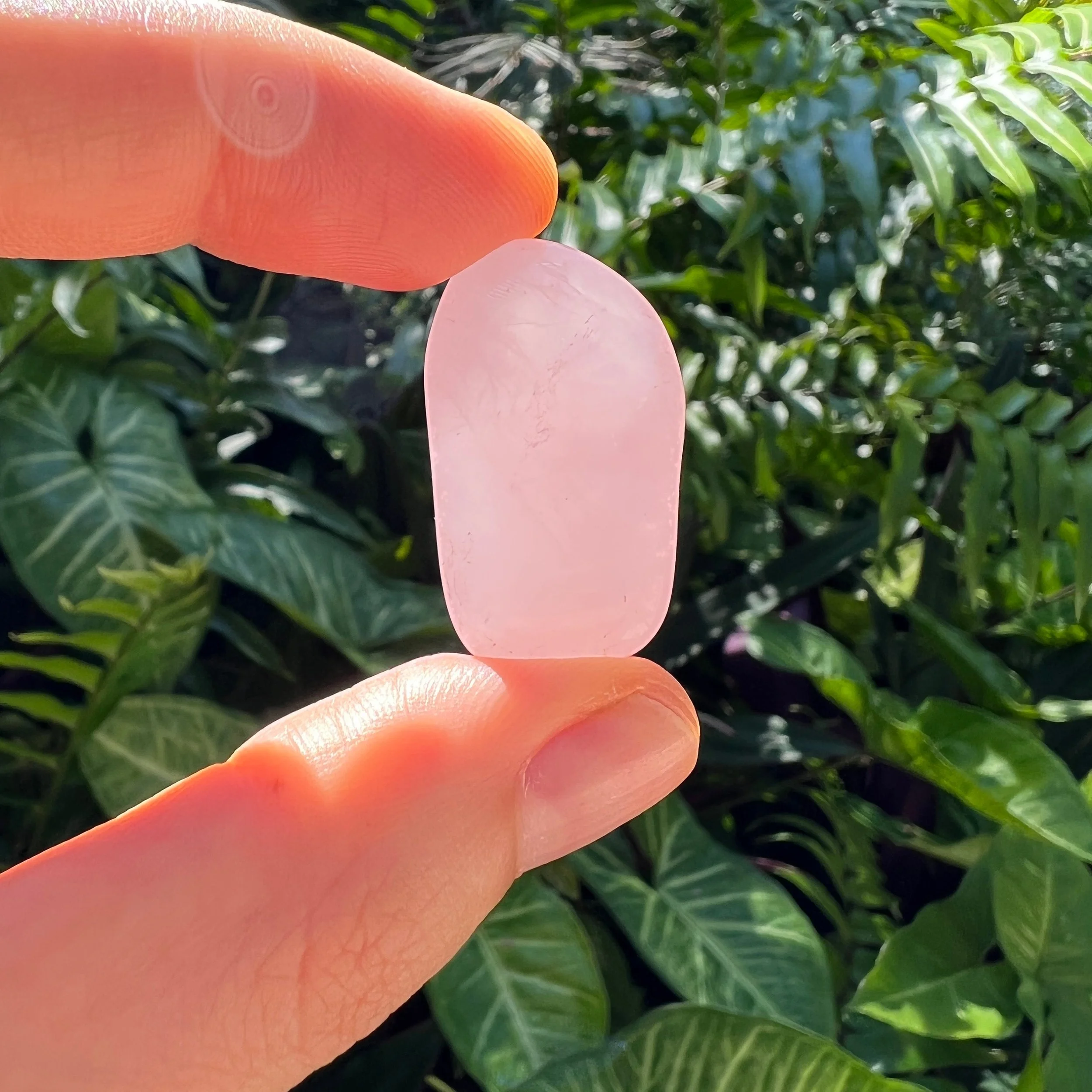 Rose Quartz Tumbled Stones (0.50-1.25 Inch - AA Grade - 64-96 Pieces Per Pound) Ethically Sourced from Madagascar - Beyond Bohemian