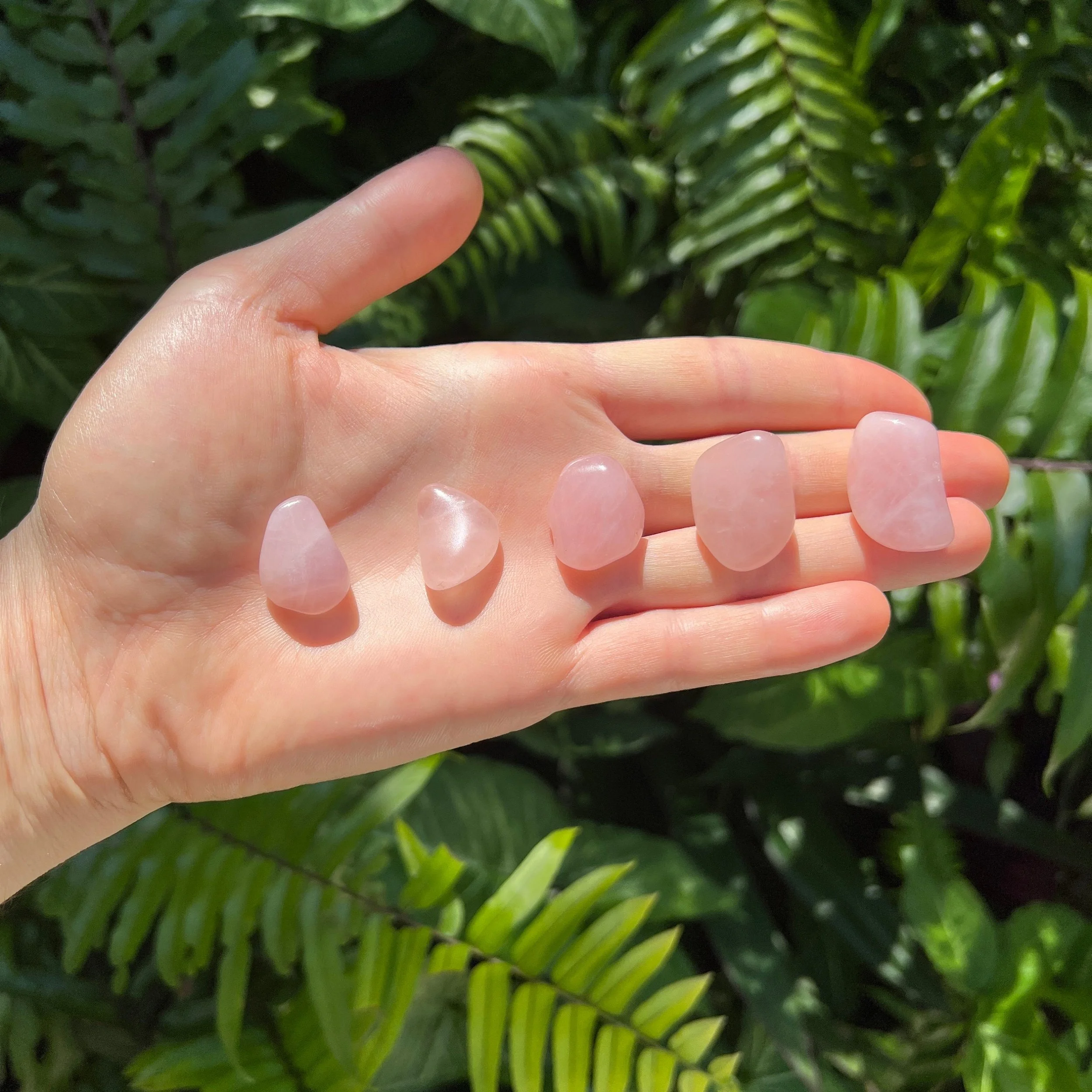 Rose Quartz Tumbled Stones (0.50-1.25 Inch - AA Grade - 64-96 Pieces Per Pound) Ethically Sourced from Madagascar - Beyond Bohemian