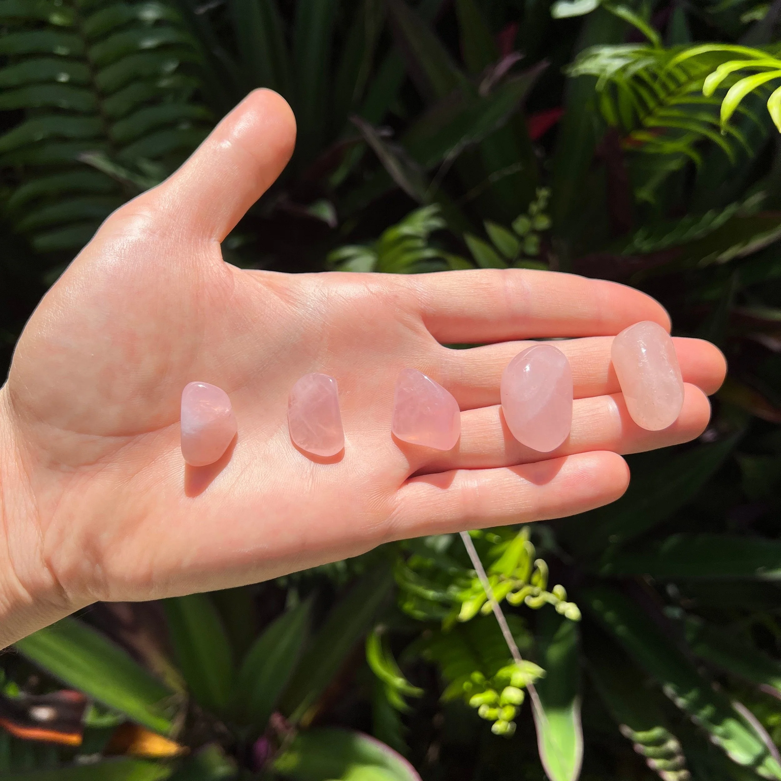 Rose Quartz Tumbled Stones (0.50-1.25 Inch - AA Grade - 64-96 Pieces Per Pound) Ethically Sourced from Madagascar - Beyond Bohemian
