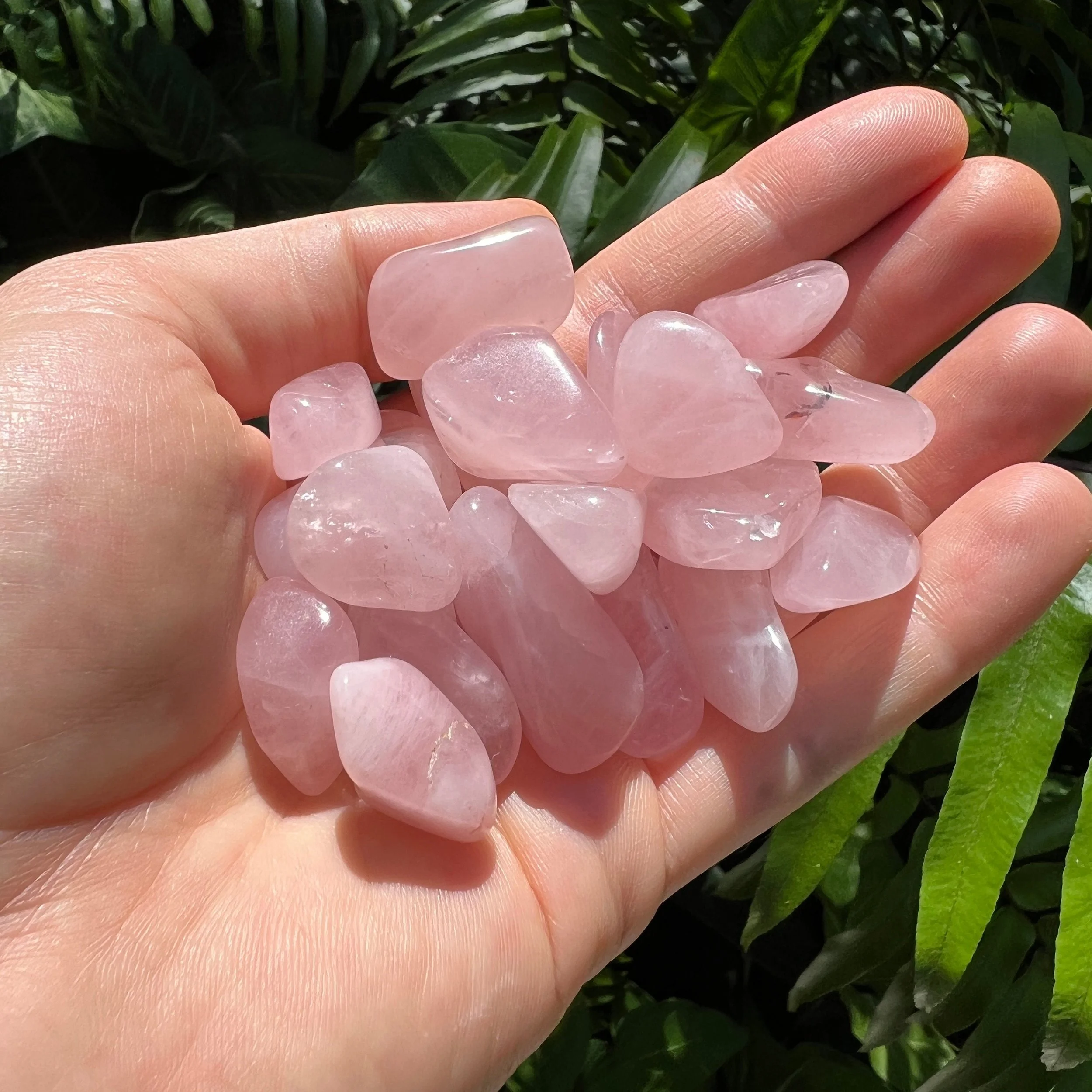 Rose Quartz Tumbled Stones (0.50-1.25 Inch - AA Grade - 64-96 Pieces Per Pound) Ethically Sourced from Madagascar - Beyond Bohemian