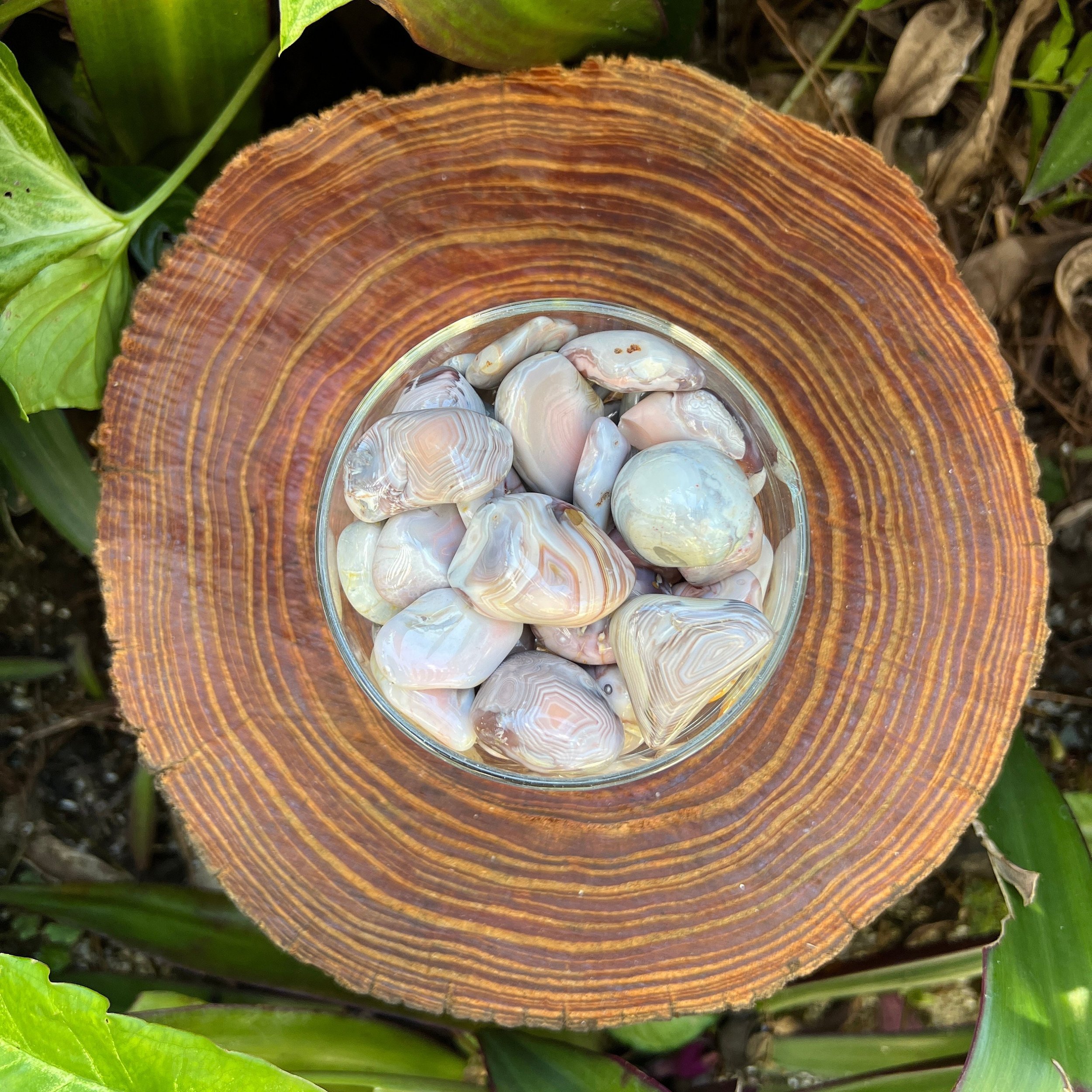 Pink Agate Tumbled Stones (1-1.50 Inch - AA Grade - 24-40 Pieces Per Pound) Ethically Sourced from Botswana - Beyond Bohemian
