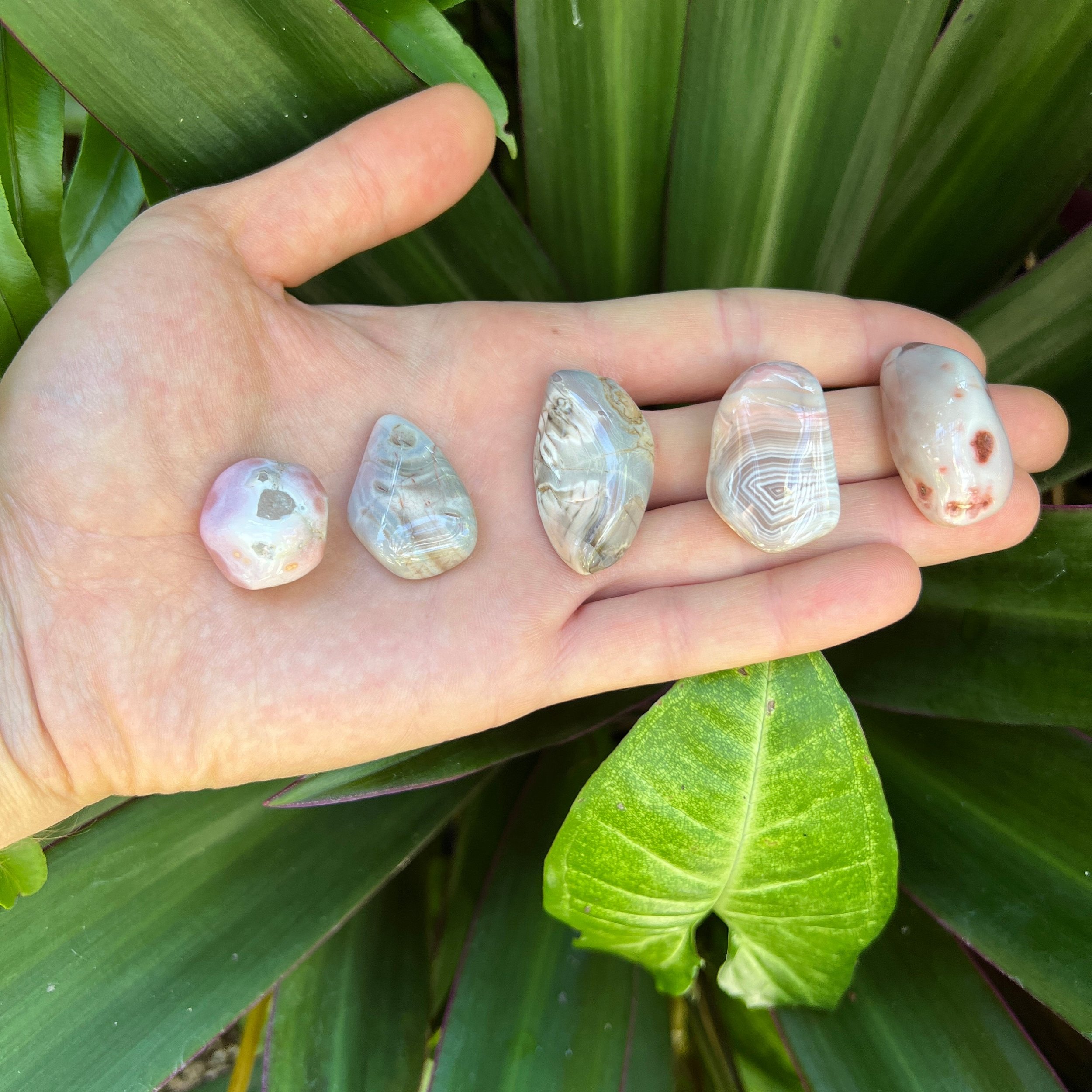 Pink Agate Tumbled Stones (1-1.50 Inch - AA Grade - 24-40 Pieces Per Pound) Ethically Sourced from Botswana - Beyond Bohemian