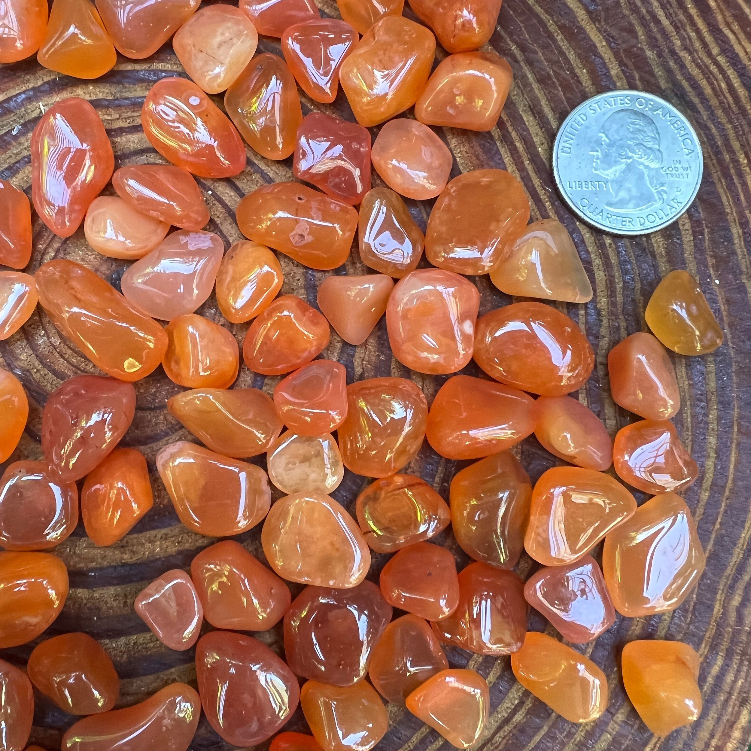 https://i.etsystatic.com/12652071/r/il/557197/3621964914/il_fullxfull.3621964914_hgyy.jpg
