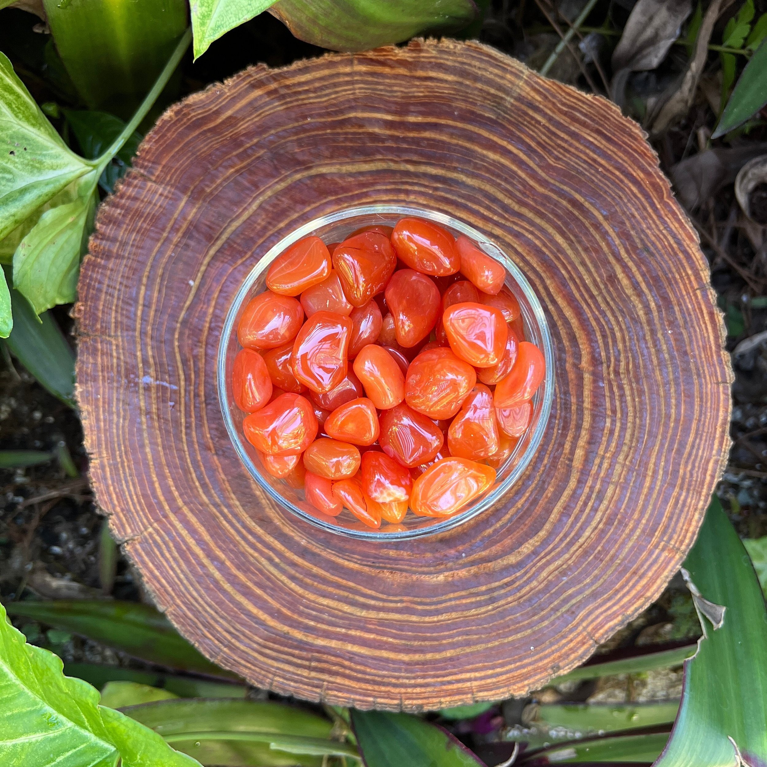 https://i.etsystatic.com/12652071/r/il/86ec65/3622020194/il_fullxfull.3622020194_b0ai.jpg