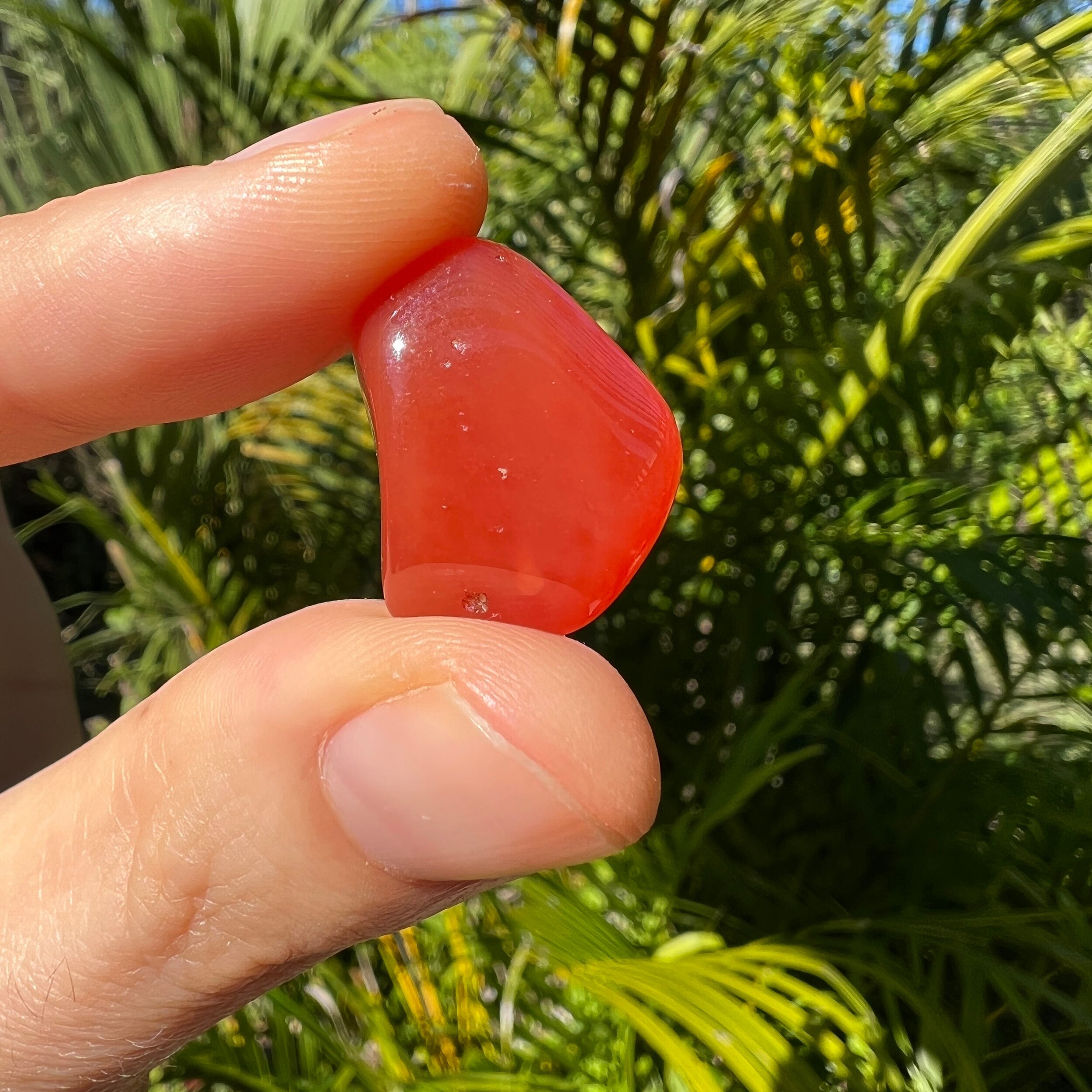 https://i.etsystatic.com/12652071/r/il/199d49/3669574115/il_fullxfull.3669574115_a4sv.jpg