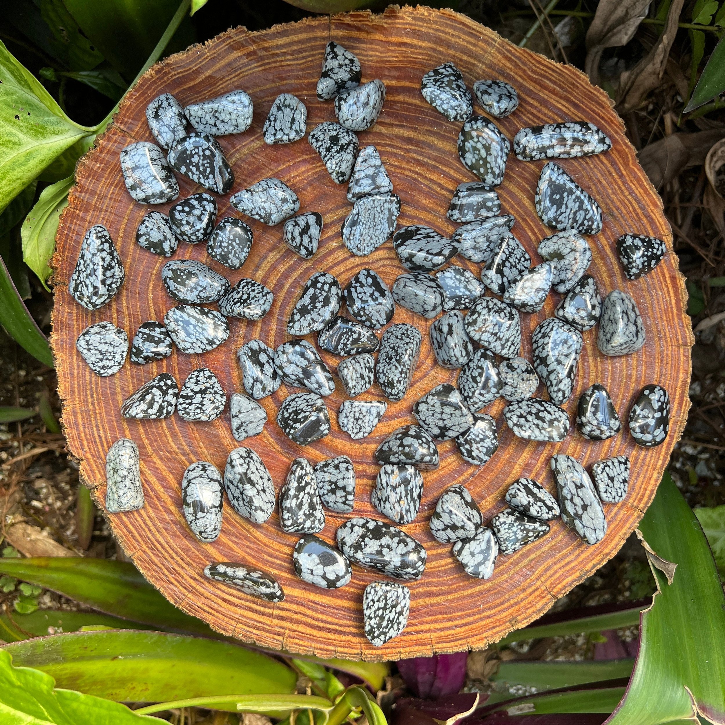 Snowflake Obsidian Tumbled Stones (0.75-1.25 Inch - AA Grade - 40-64 Pieces Per Pound) Ethically Sourced from Utah - Beyond Bohemian