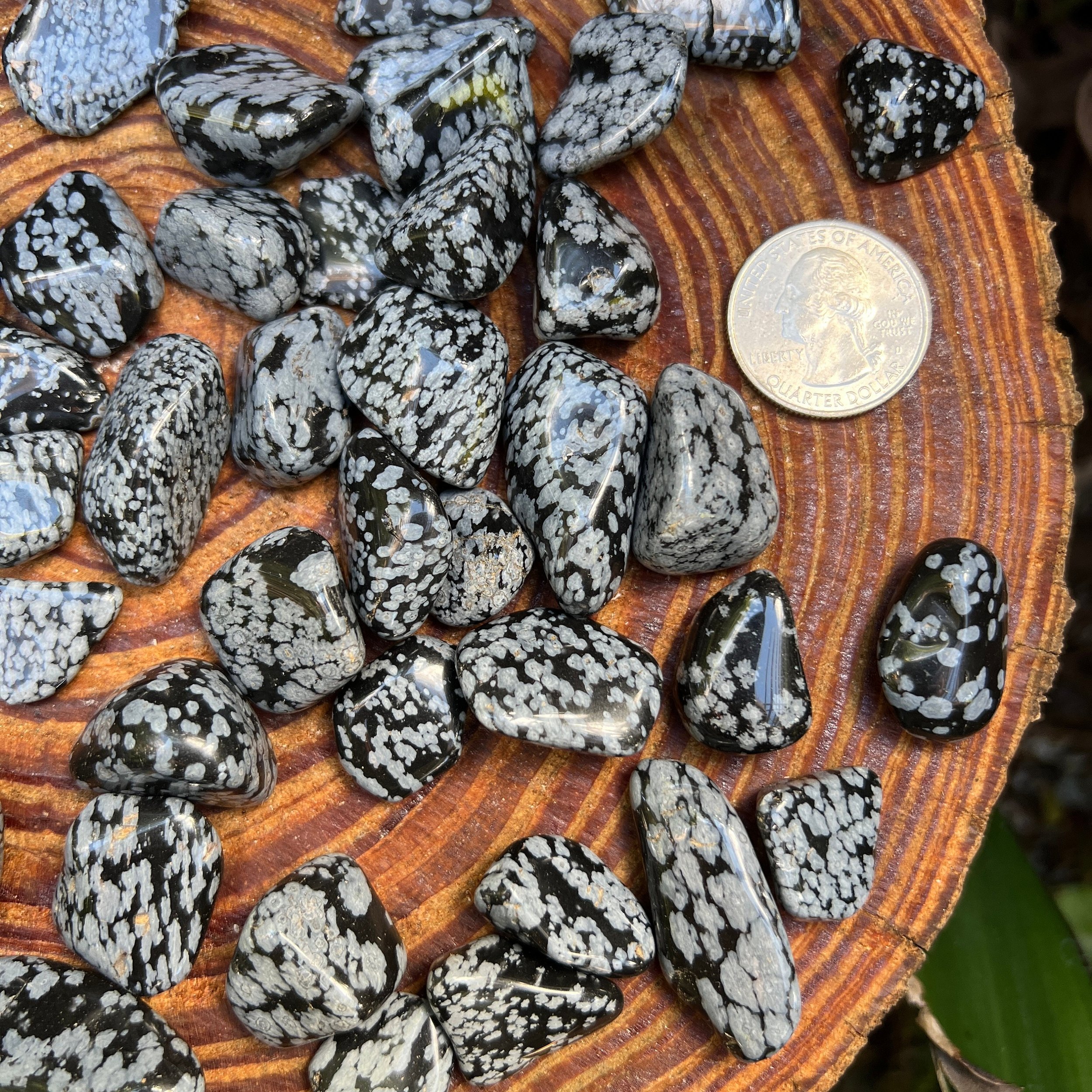 Snowflake Obsidian Tumbled Stones (0.75-1.25 Inch - AA Grade - 40-64 Pieces Per Pound) Ethically Sourced from Utah - Beyond Bohemian