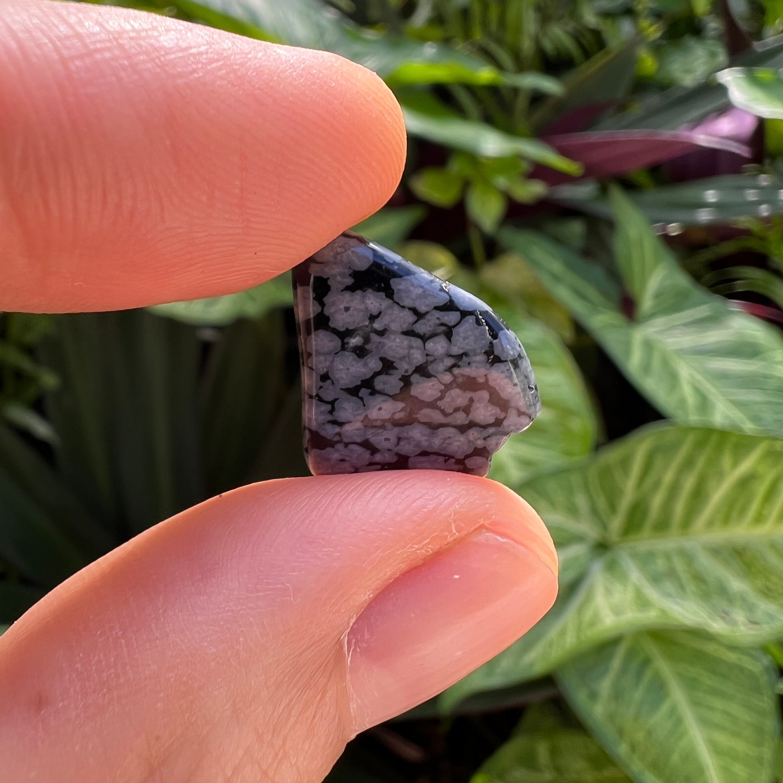 Snowflake Obsidian Tumbled Stones (0.75-1.25 Inch - AA Grade - 40-64 Pieces Per Pound) Ethically Sourced from Utah - Beyond Bohemian