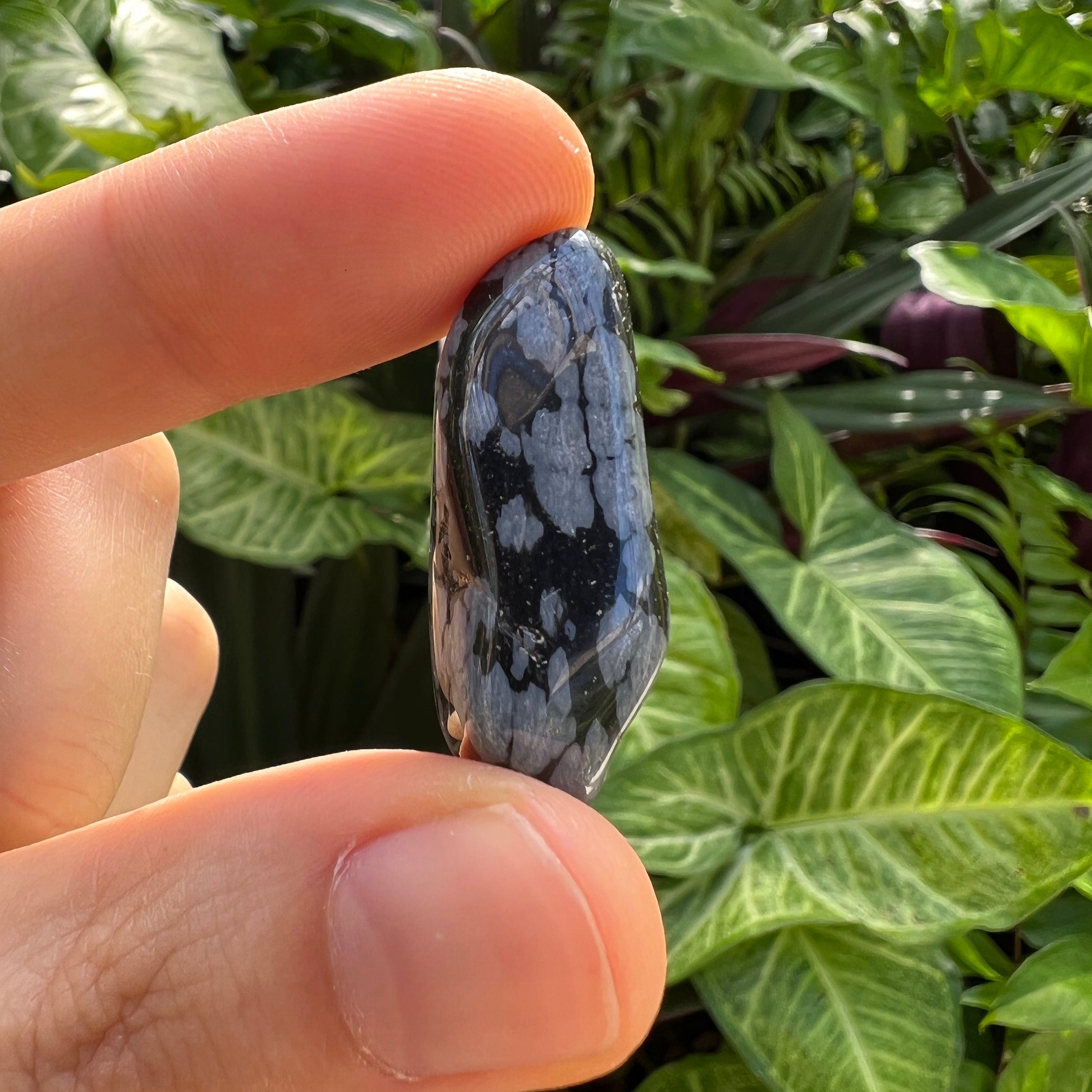 Snowflake Obsidian Tumbled Stones (0.75-1.25 Inch - AA Grade - 40-64 Pieces Per Pound) Ethically Sourced from Utah - Beyond Bohemian