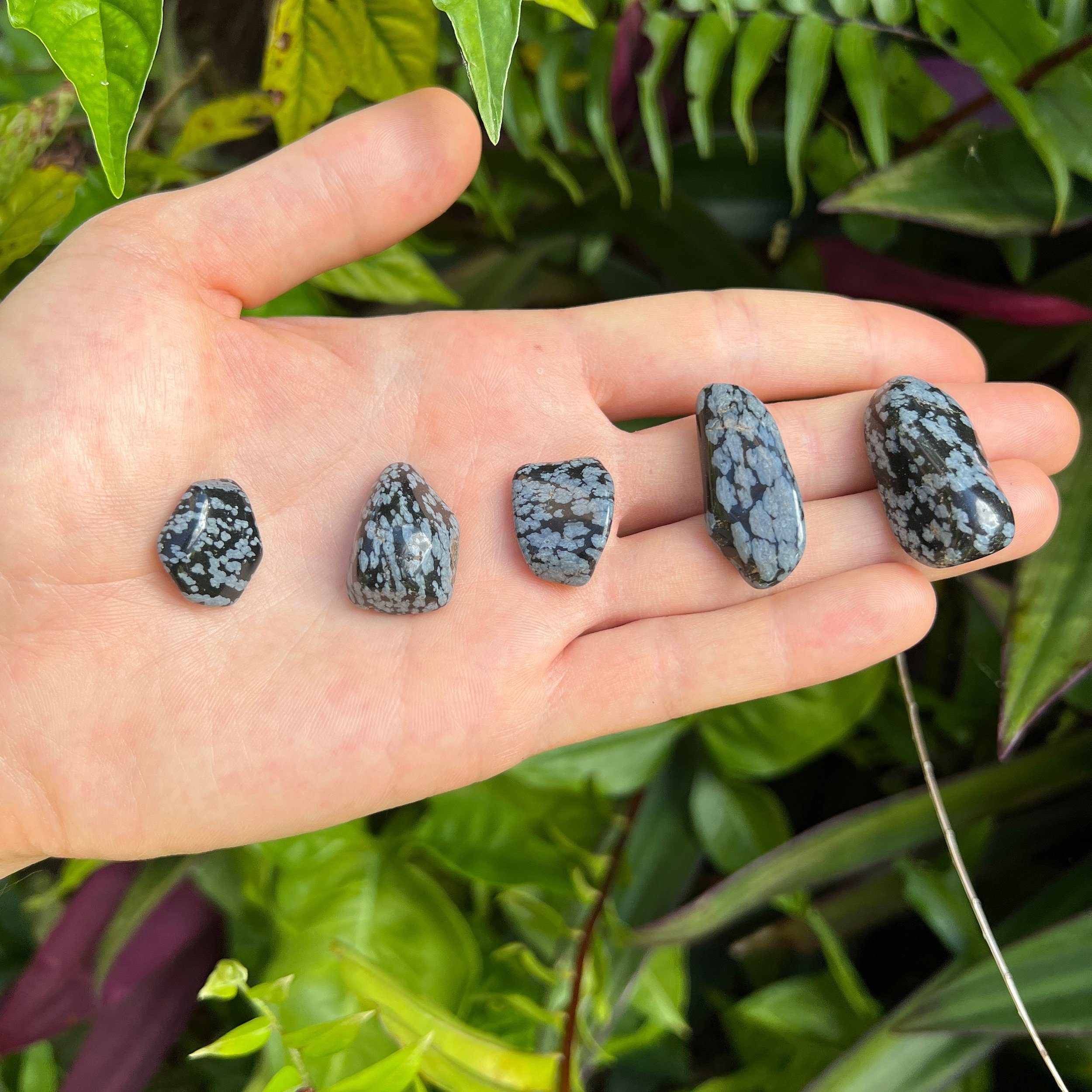 Snowflake Obsidian Tumbled Stones (0.75-1.25 Inch - AA Grade - 40-64 Pieces Per Pound) Ethically Sourced from Utah - Beyond Bohemian