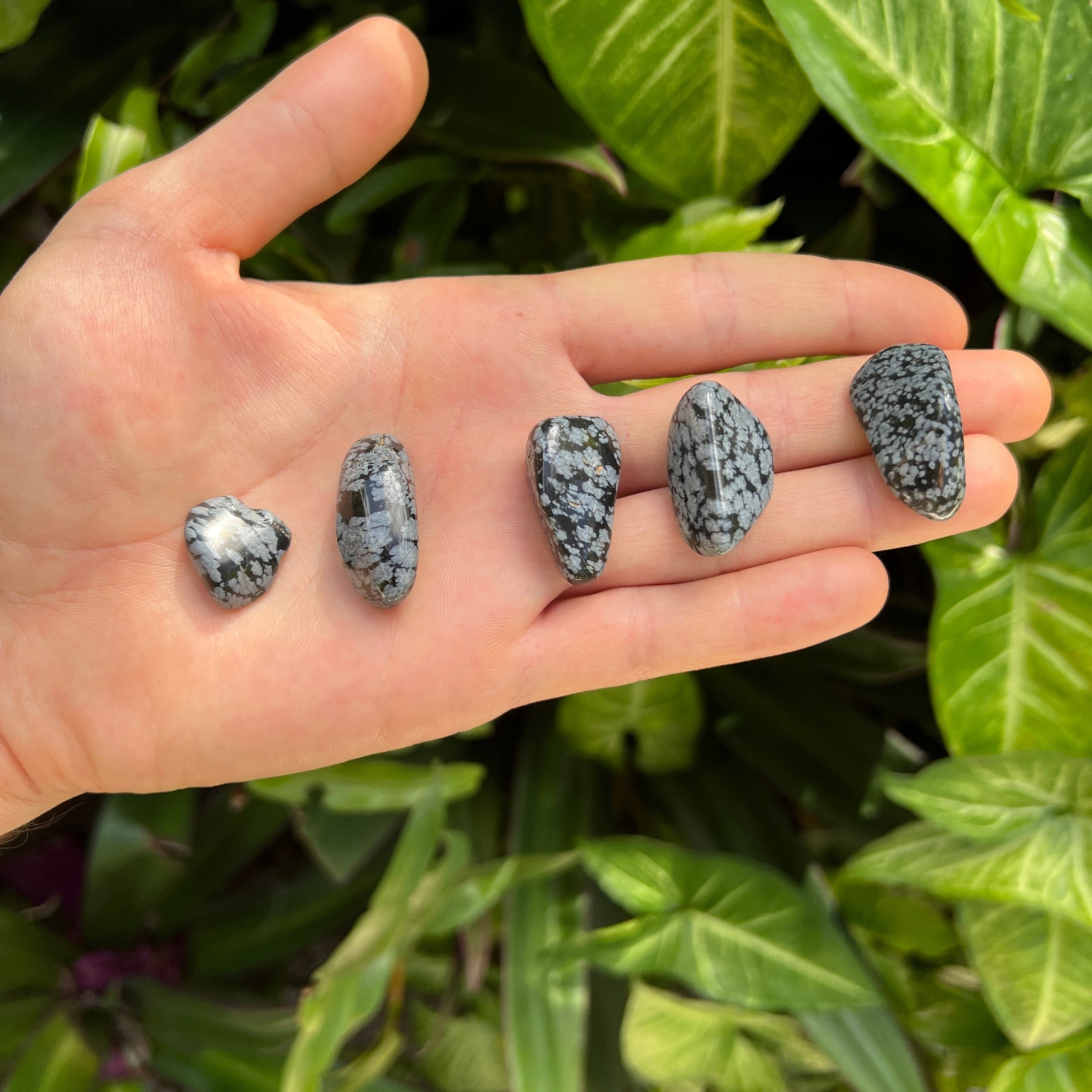 Snowflake Obsidian Tumbled Stones (0.75-1.25 Inch - AA Grade - 40-64 Pieces Per Pound) Ethically Sourced from Utah - Beyond Bohemian