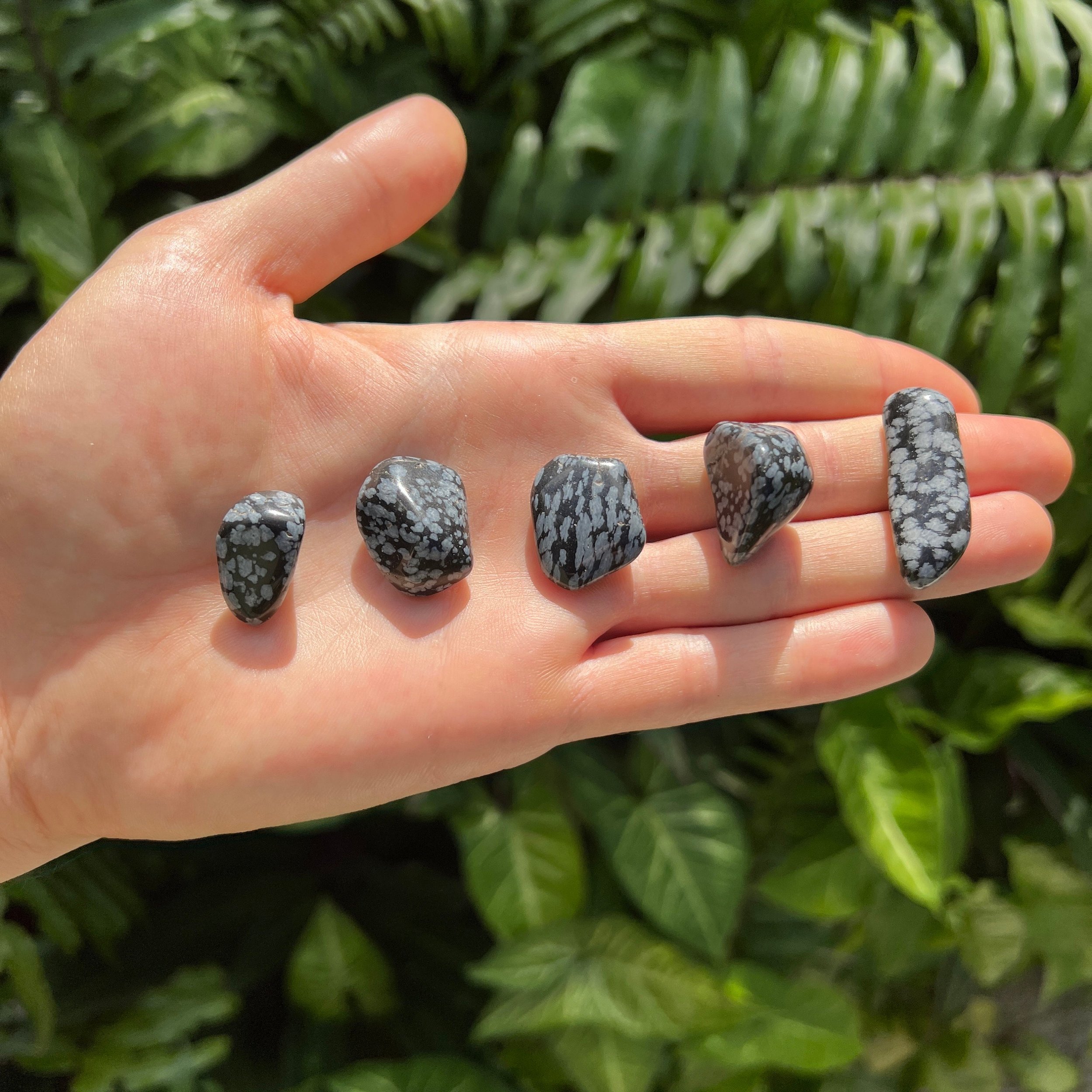 Snowflake Obsidian Tumbled Stones (0.75-1.25 Inch - AA Grade - 40-64 Pieces Per Pound) Ethically Sourced from Utah - Beyond Bohemian