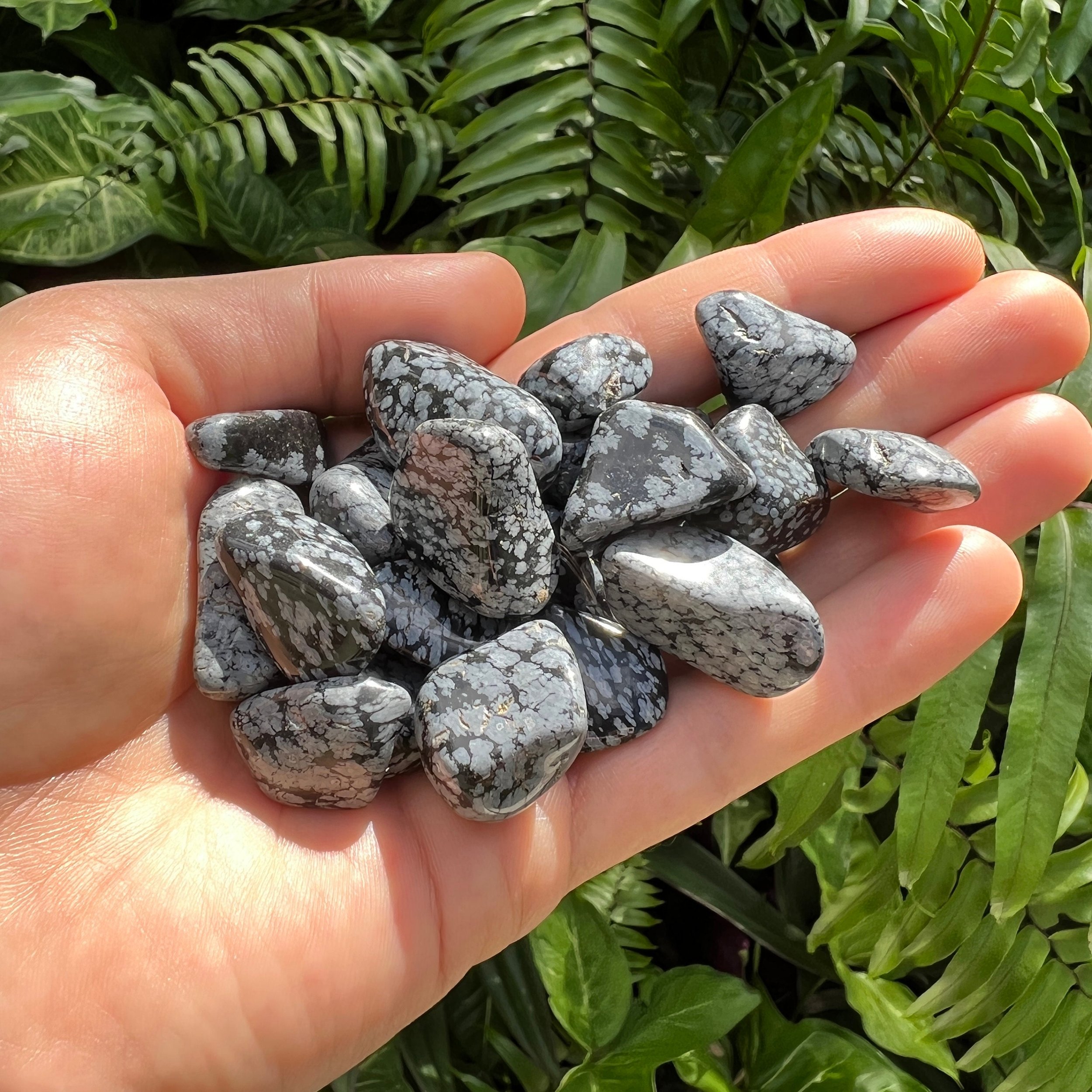 Snowflake Obsidian Tumbled Stones (0.75-1.25 Inch - AA Grade - 40-64 Pieces Per Pound) Ethically Sourced from Utah - Beyond Bohemian