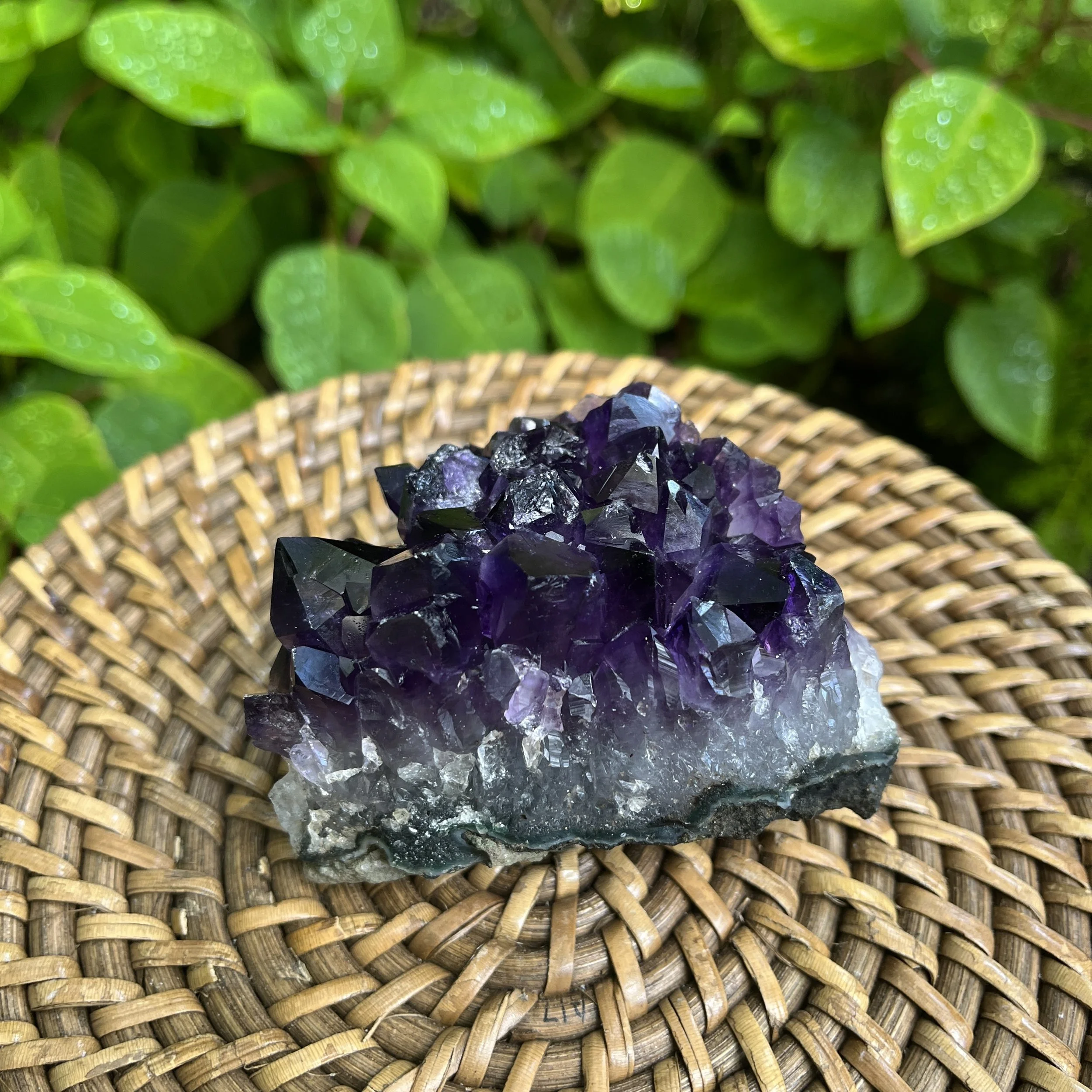 Amethyst Raw Crystal Cluster (AAA Grade) Ethically Sourced from Uruguay