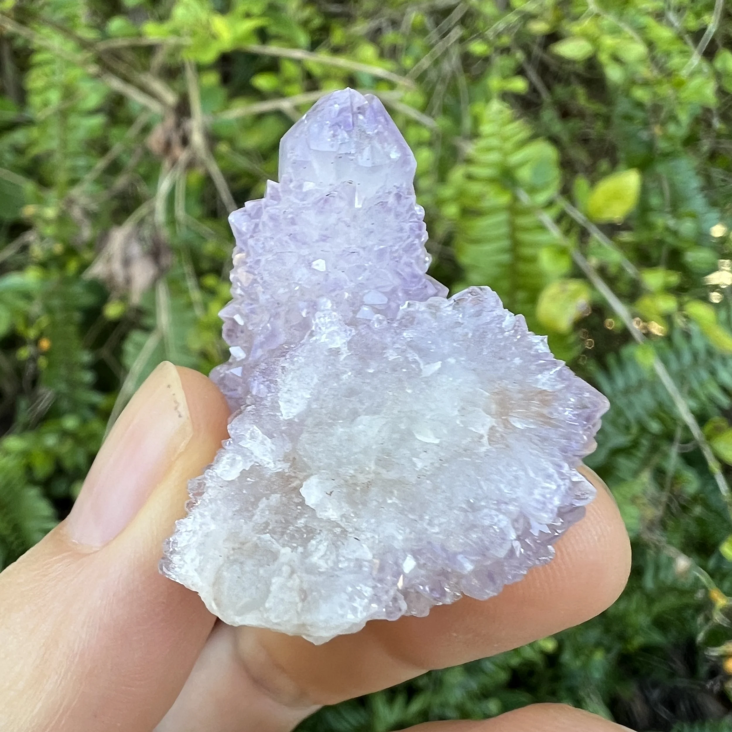 Cactus Spirit Quartz Raw Crystals (12 Inch AA Grade 1220 Pieces