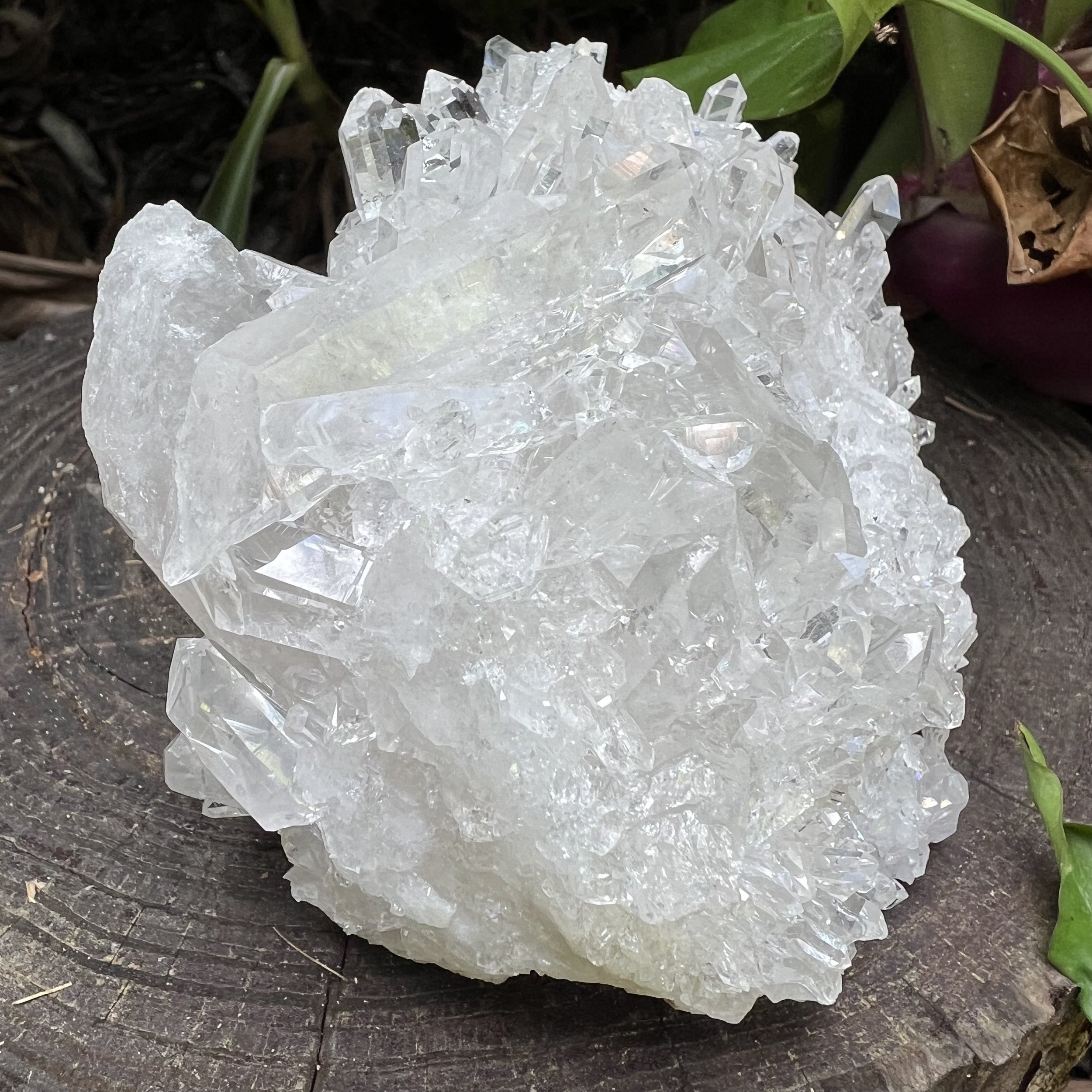Clear Quartz Raw Crystal Cluster - AAA Collector's Grade - Ethically Sourced from Brazil - Beyond Bohemian