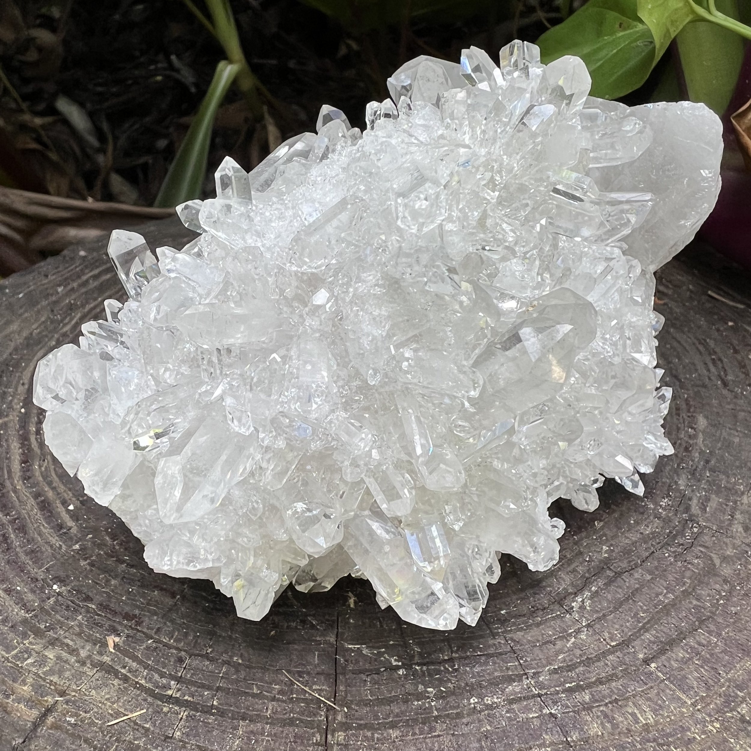 Clear Quartz Raw Crystal Cluster - AAA Collector's Grade - Ethically Sourced from Brazil - Beyond Bohemian