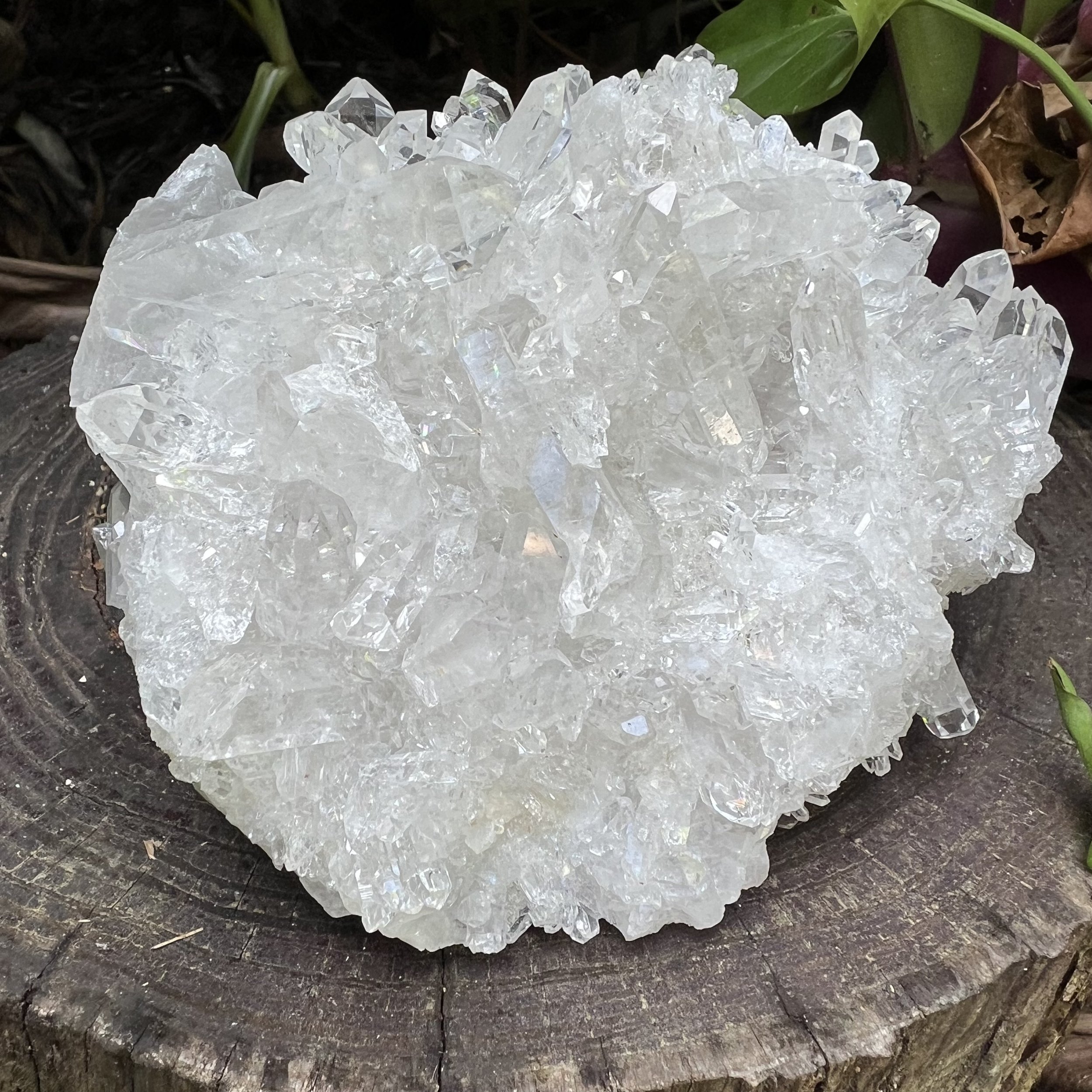 Clear Quartz Raw Crystal Cluster - AAA Collector's Grade - Ethically Sourced from Brazil - Beyond Bohemian