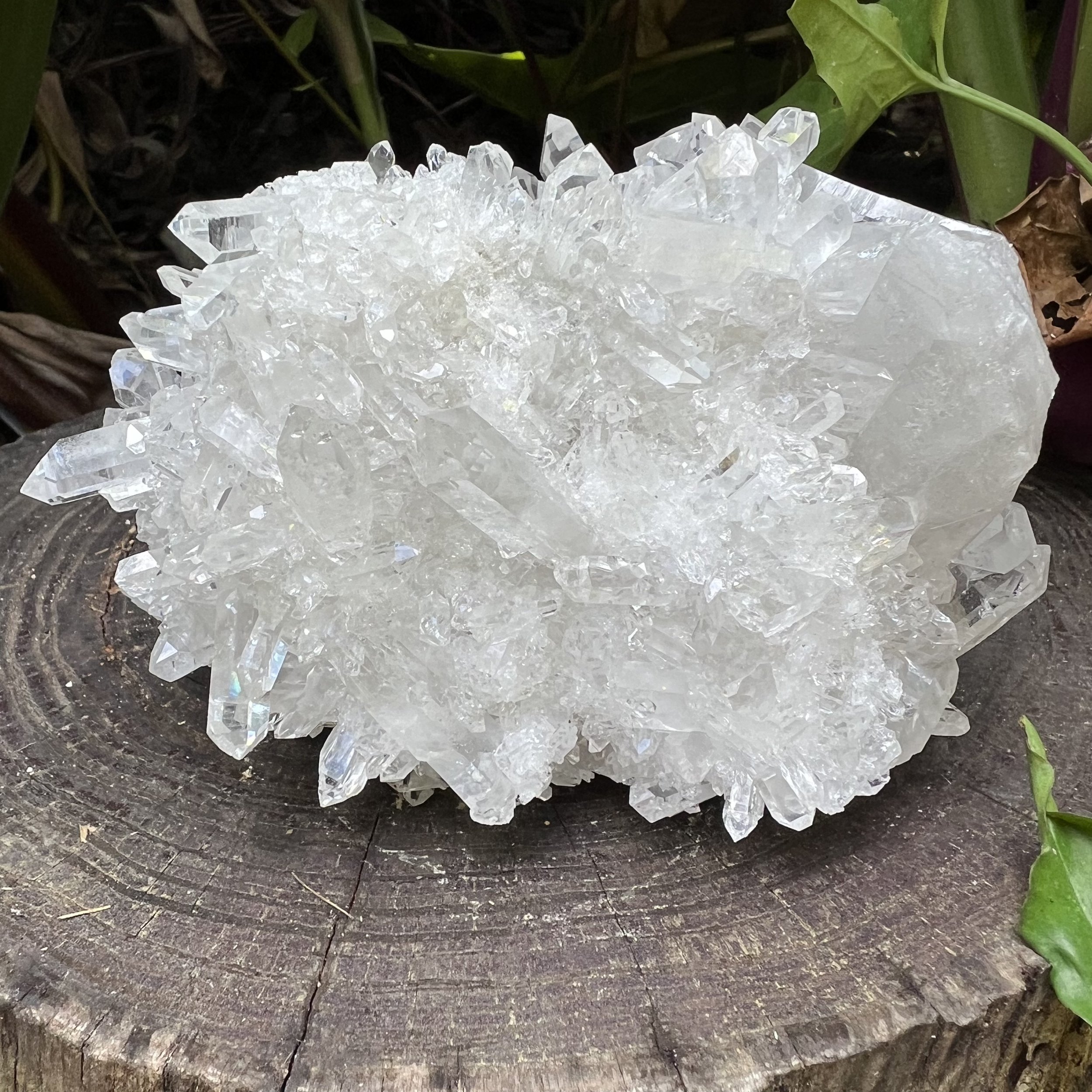 Clear Quartz Raw Crystal Cluster - AAA Collector's Grade - Ethically Sourced from Brazil - Beyond Bohemian