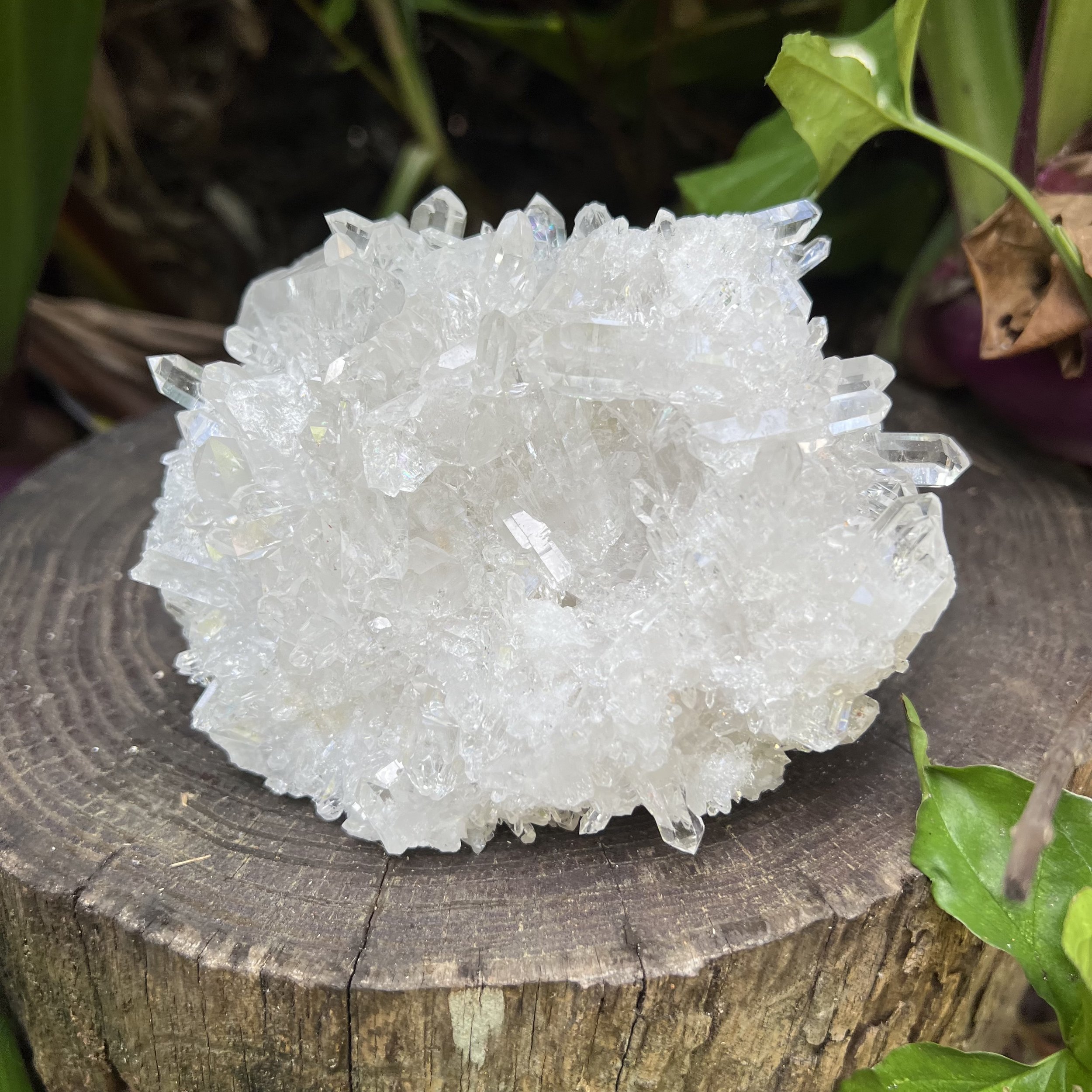 Clear Quartz Raw Crystal Cluster - AAA Collector's Grade - Ethically Sourced from Brazil - Beyond Bohemian