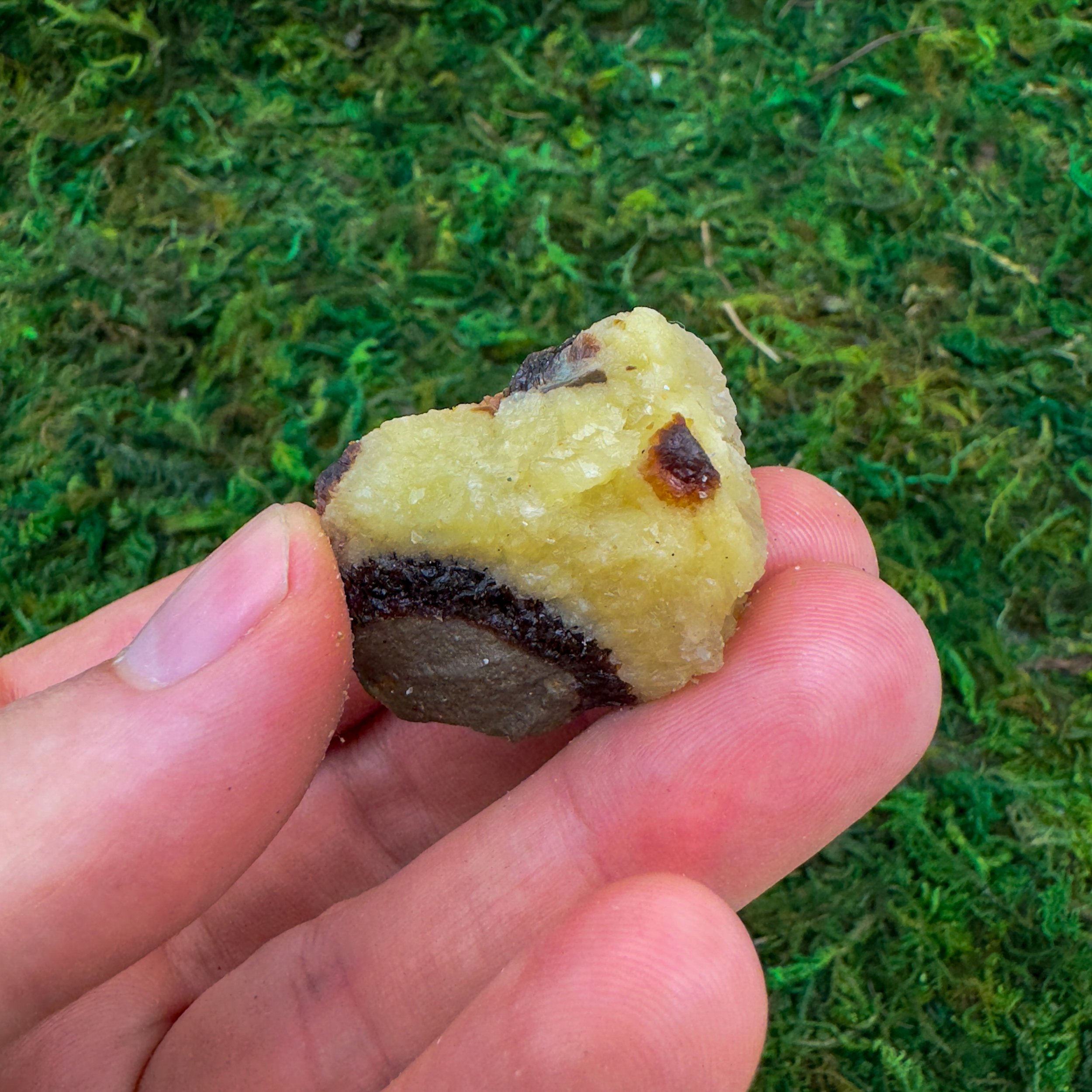 Septarian Raw Stones (1-2 Inch - AA Grade - 12-20 Pieces Per Pound) Ethically Sourced from Madagascar - Beyond Bohemian