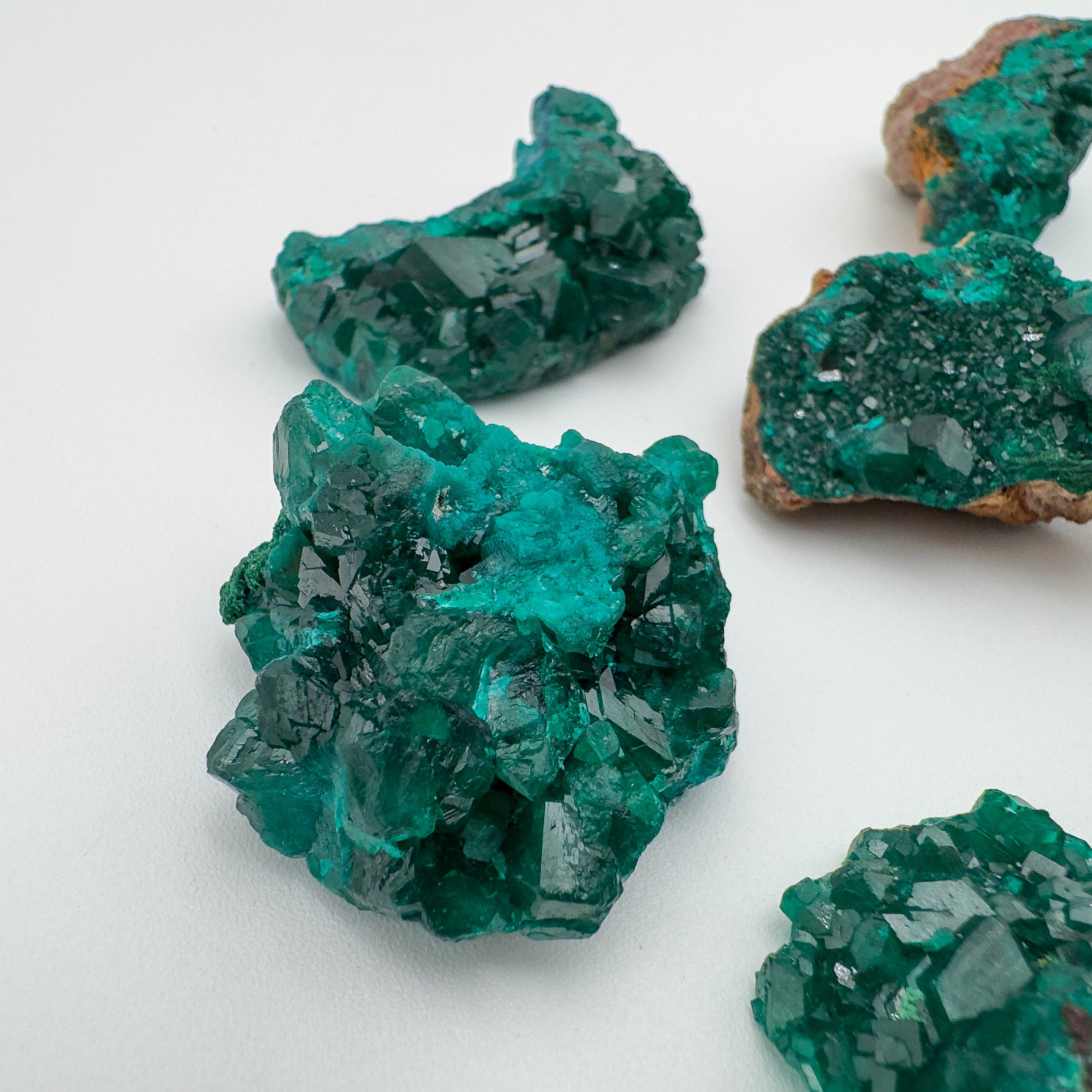 AA-grade Dioptase mineral specimen with natural matrix from Renêville, Republic of the Congo.