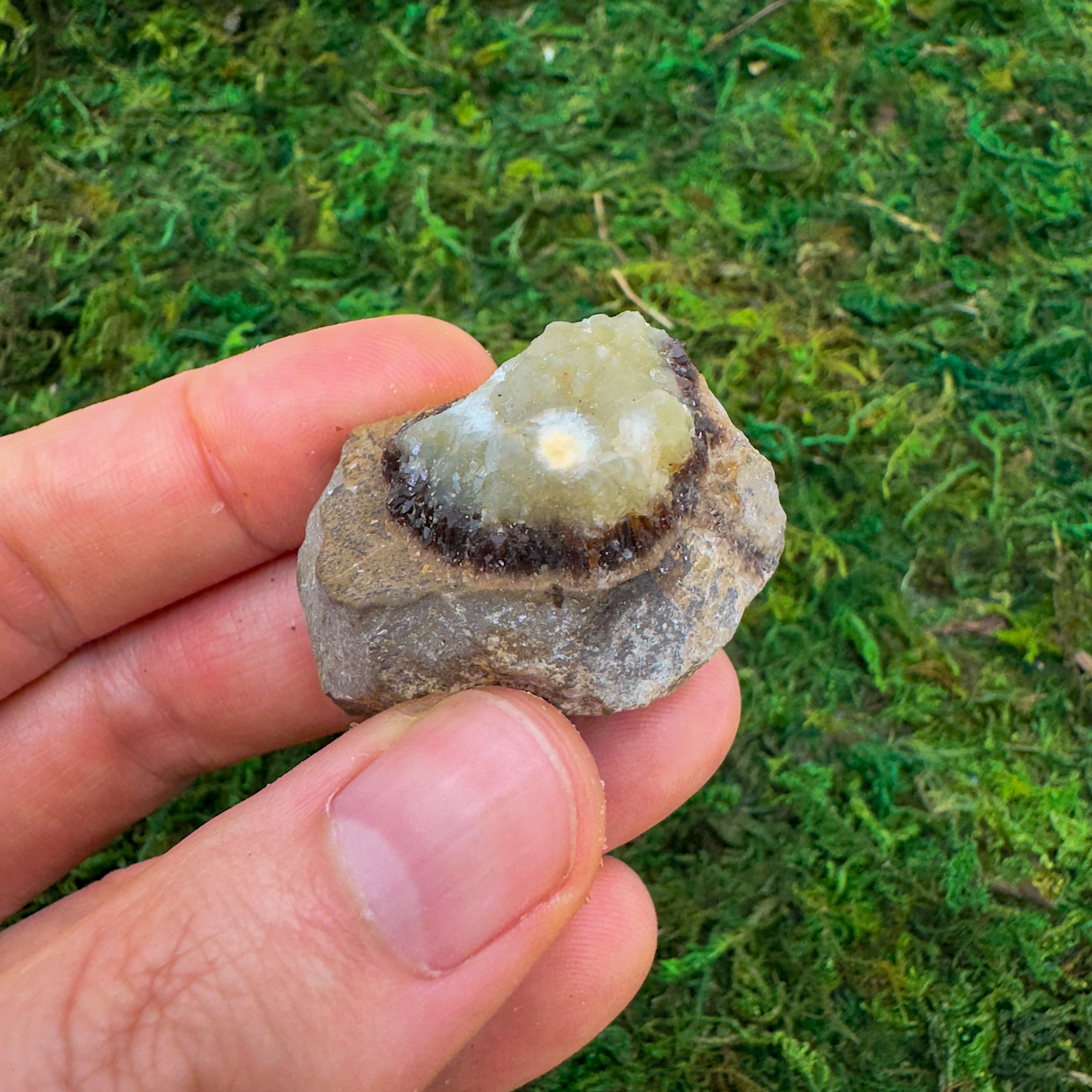 Septarian Raw Stones (1-2 Inch - AA Grade - 12-20 Pieces Per Pound) Ethically Sourced from Madagascar - Beyond Bohemian