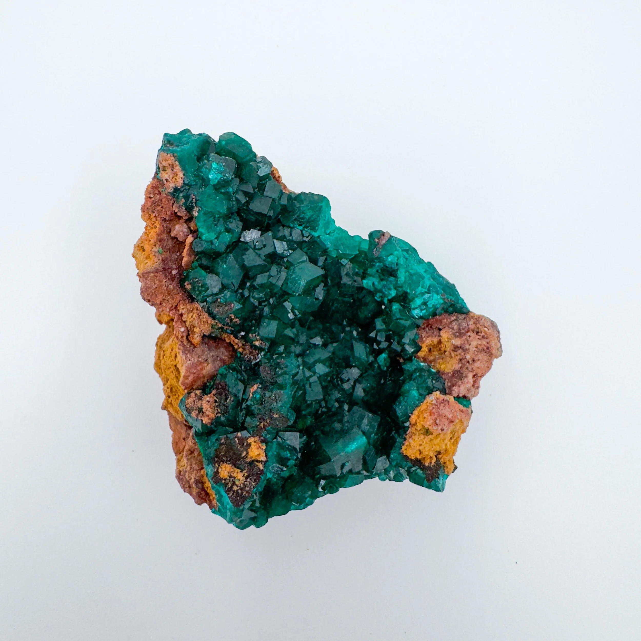 Dioptase Raw Crystal Specimen _8464.jpg