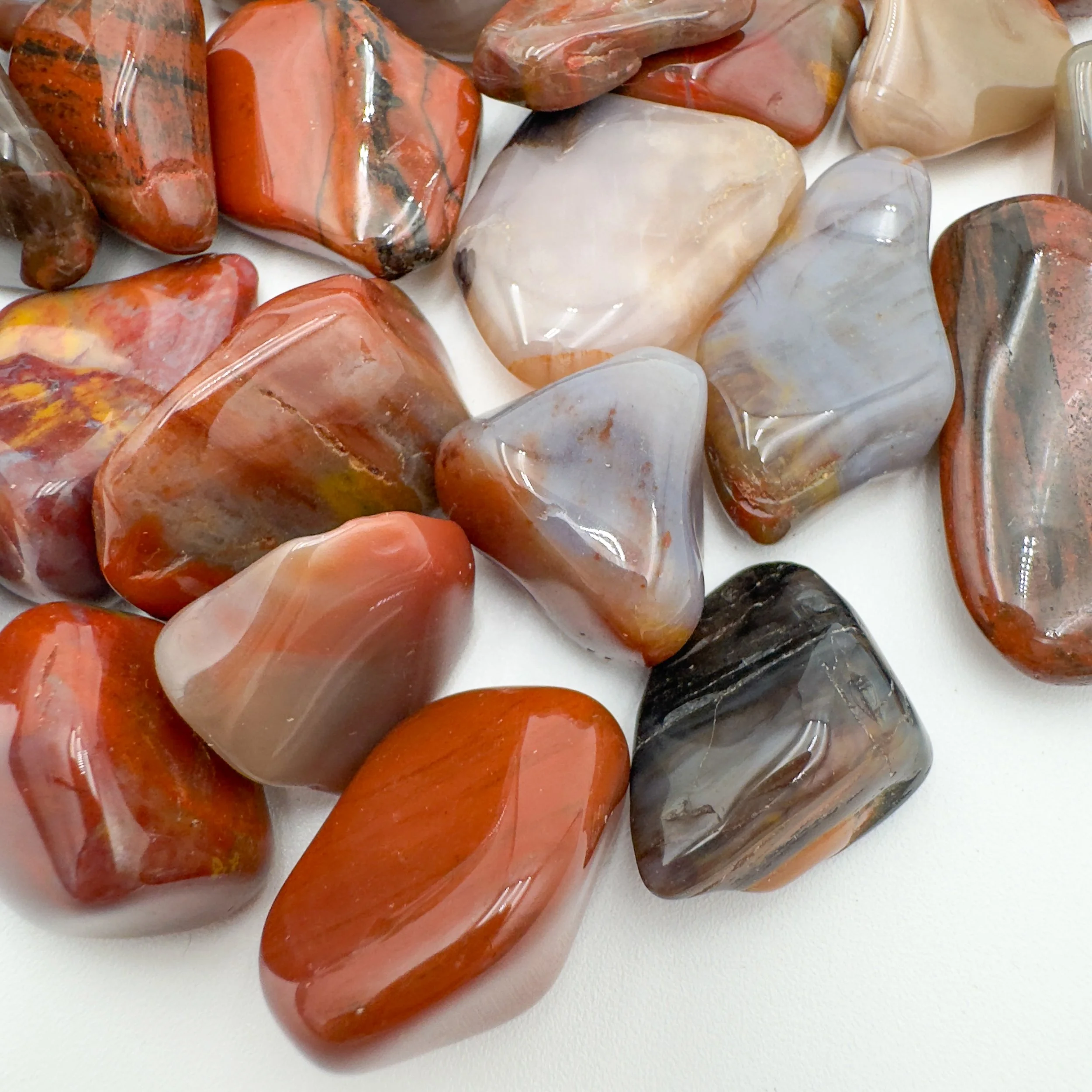Wholesale Petrified Wood Tumbled Stones 7923.jpg