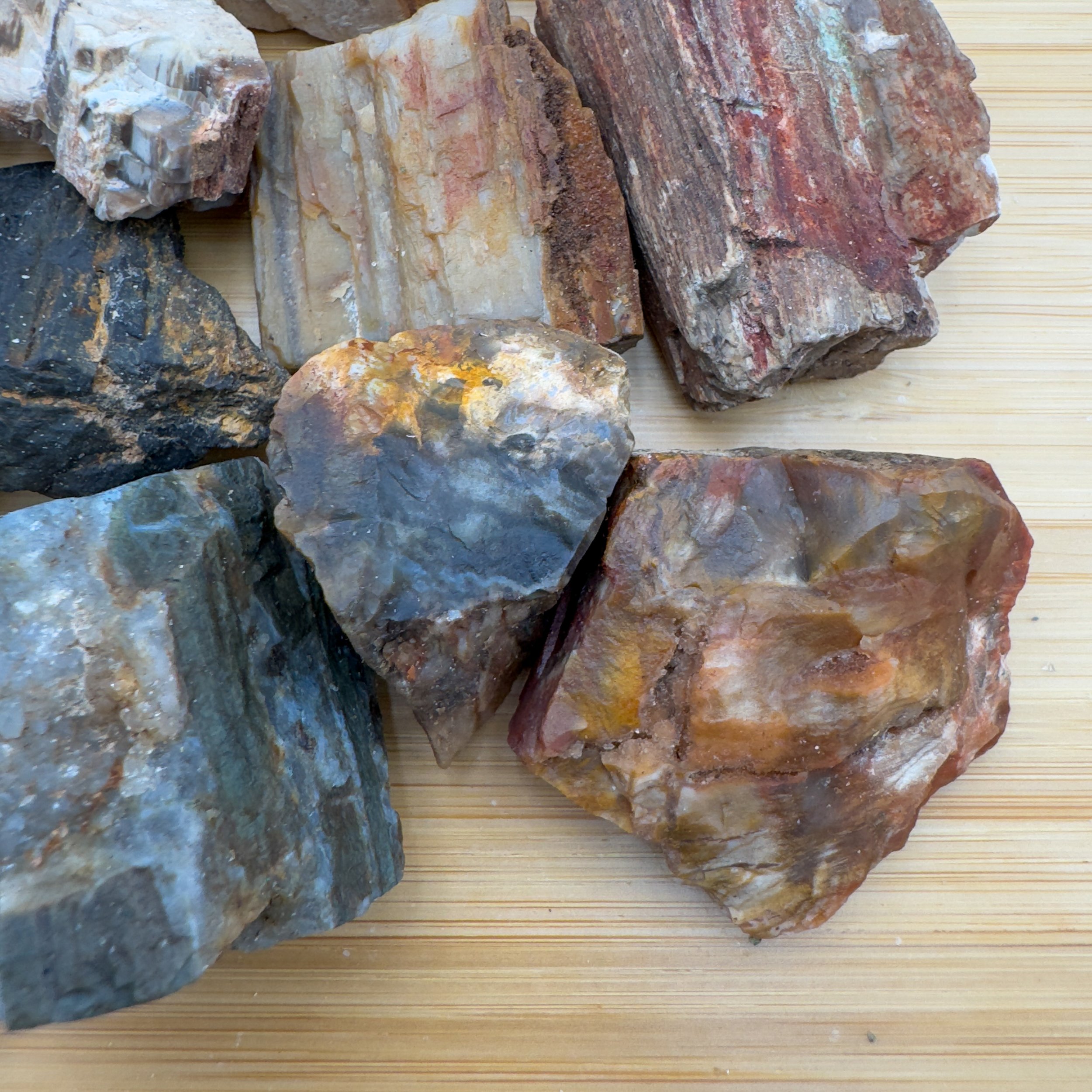 Petrified Wood Raw Stones (1-2 Inch - A Grade - 12-20 Pieces Per Pound) Ethically Sourced from Madagascar - Beyond Bohemian