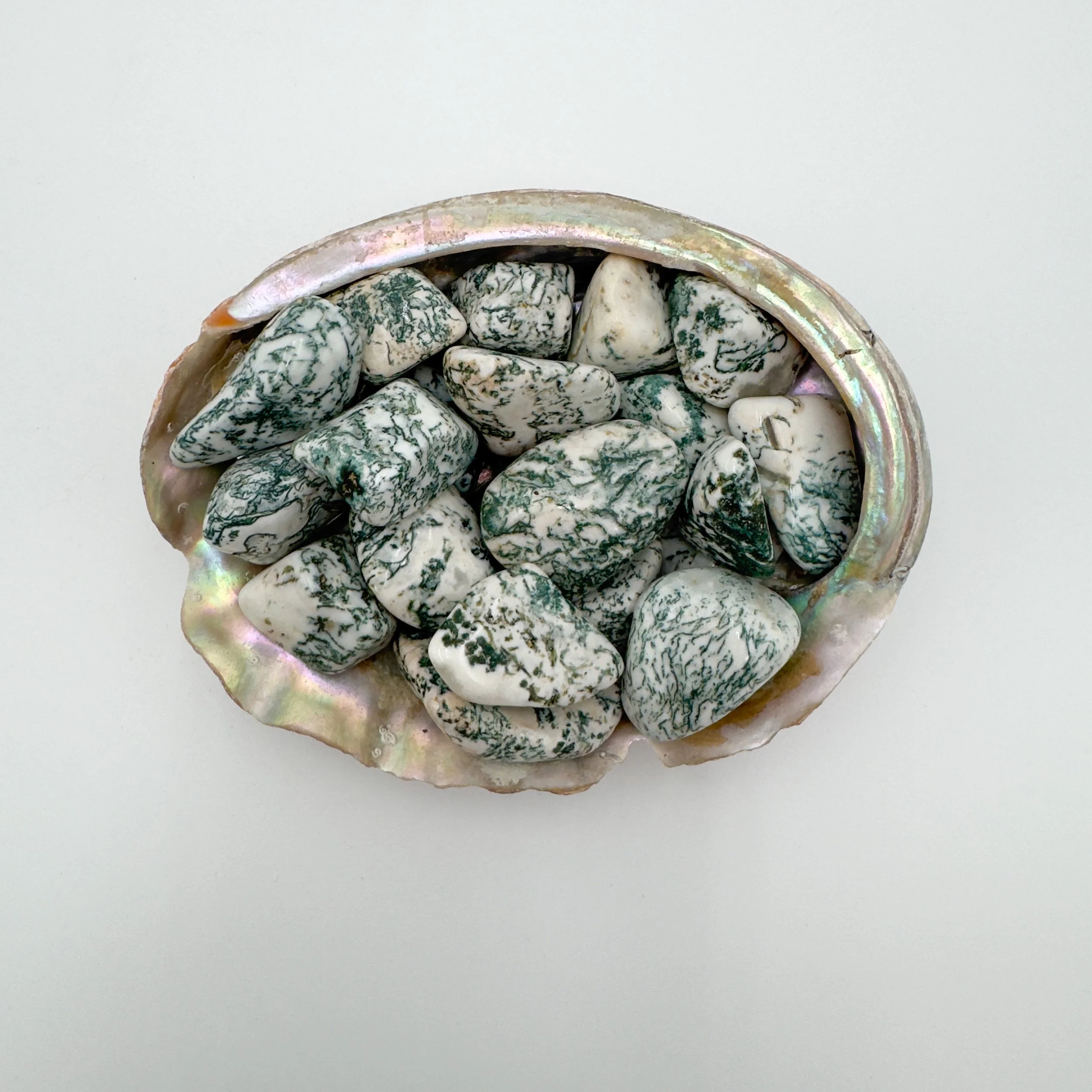 Tree Agate Tumbled Stones (1-1.50 Inch - A Grade - 16-24 Pieces Per Pound) Ethically Sourced from Botswana - Beyond Bohemian