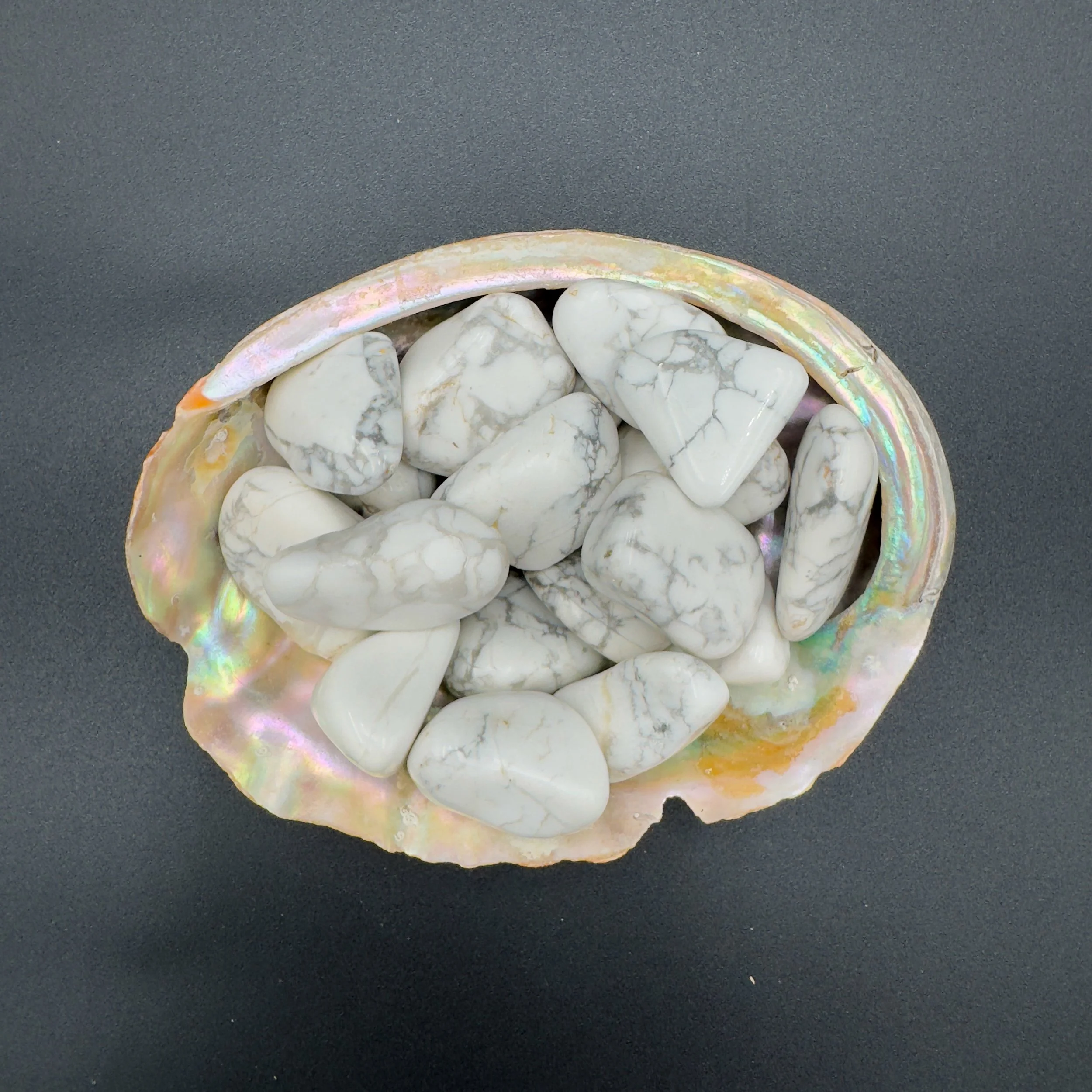 Bulk polished Howlite stones for jewelry and craft design