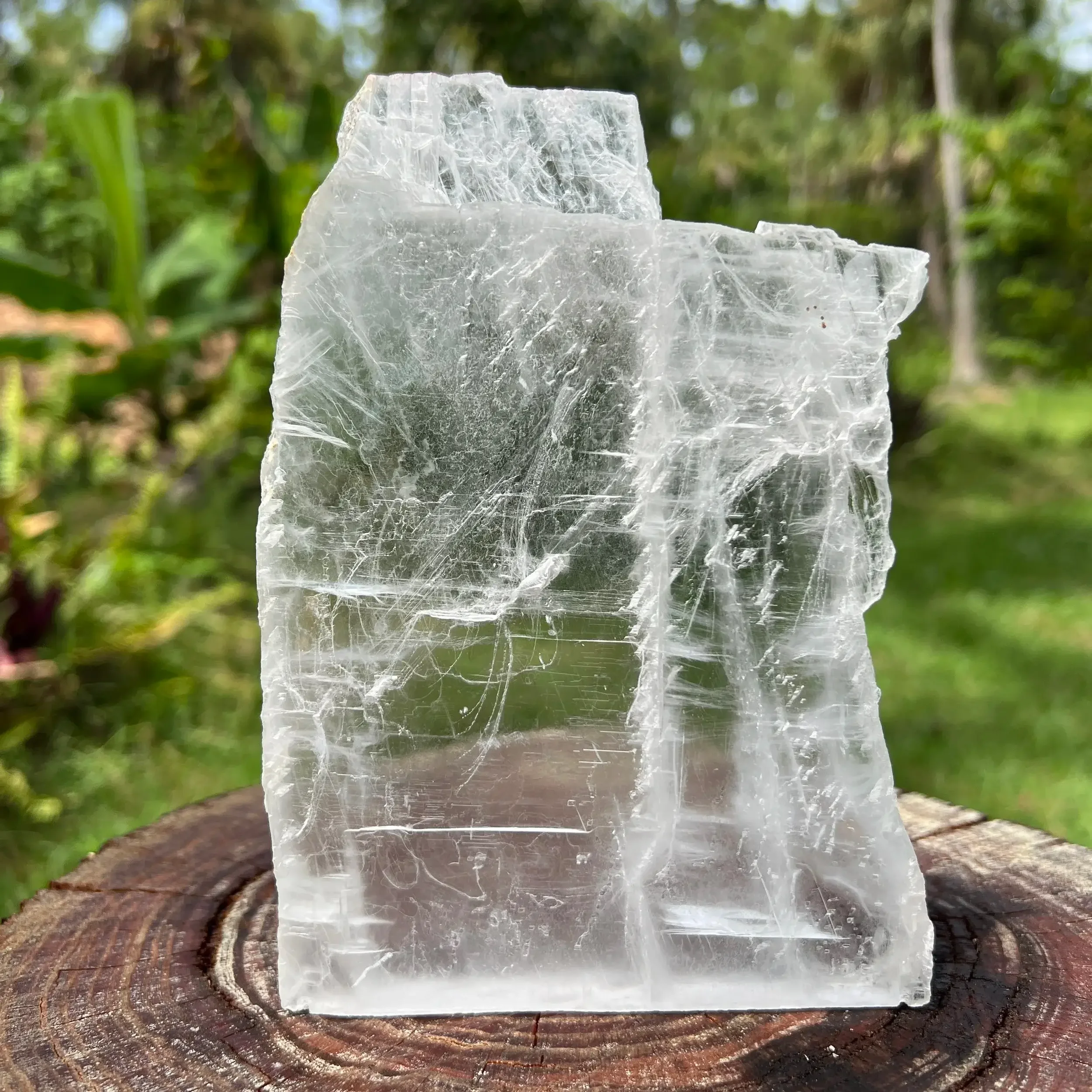 Natural selenite crystals ethically sourced, displaying luminous white gypsum known for cleansing spaces and gentle energy.