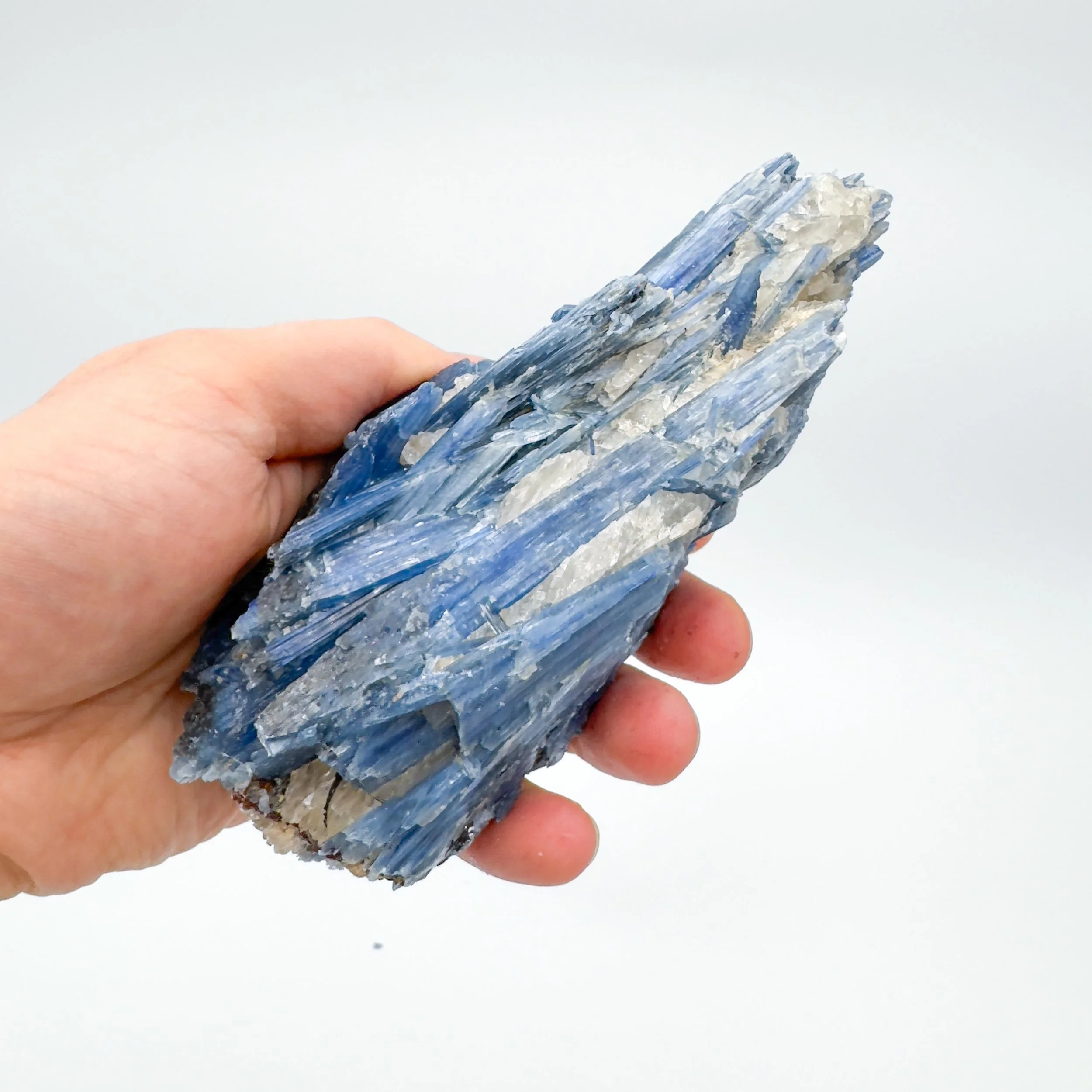 Blue Kyanite Raw Crystal Specimen _8408.jpg