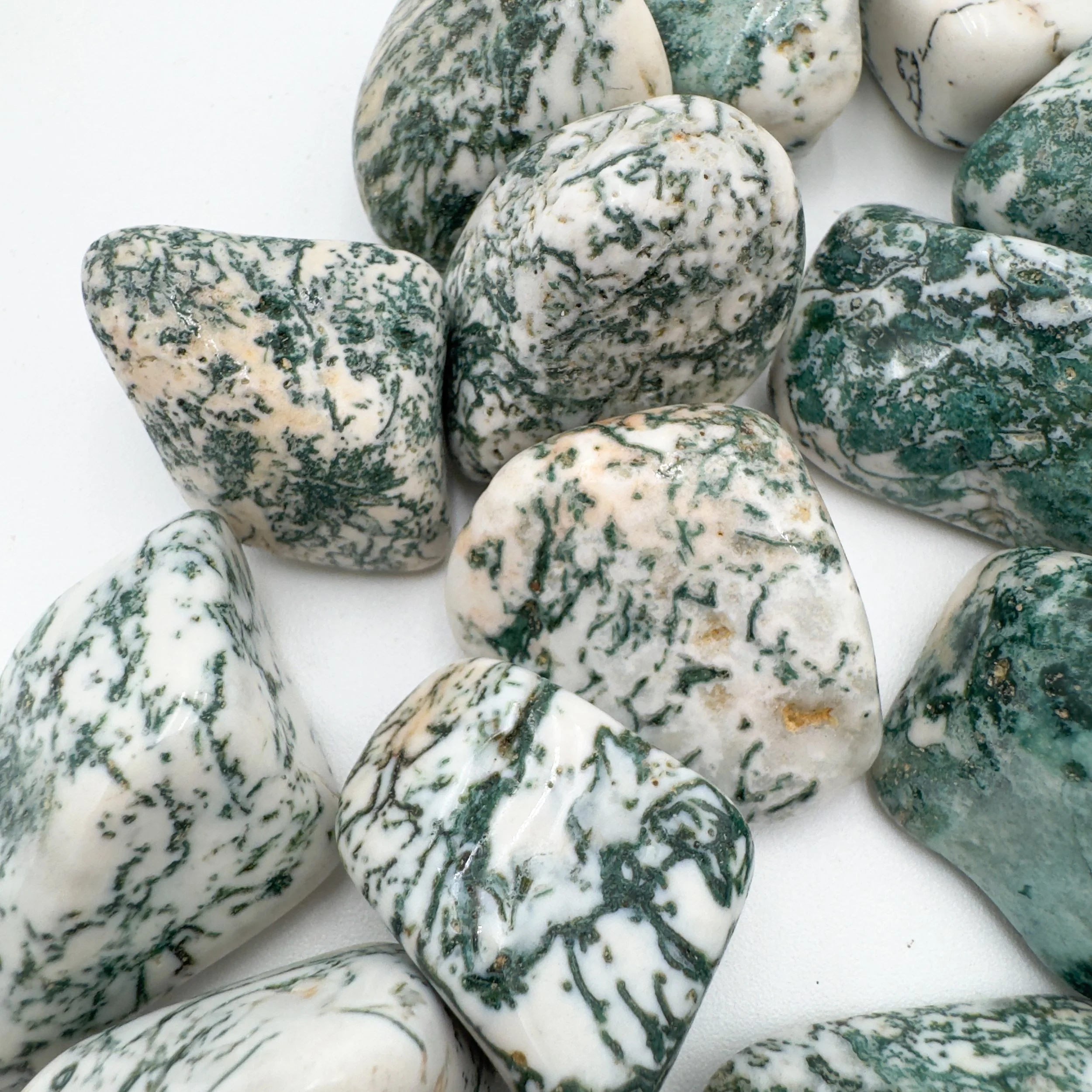 Tree Agate Tumbled Stones (1-1.50 Inch - A Grade - 16-24 Pieces Per Pound) Ethically Sourced from Botswana - Beyond Bohemian